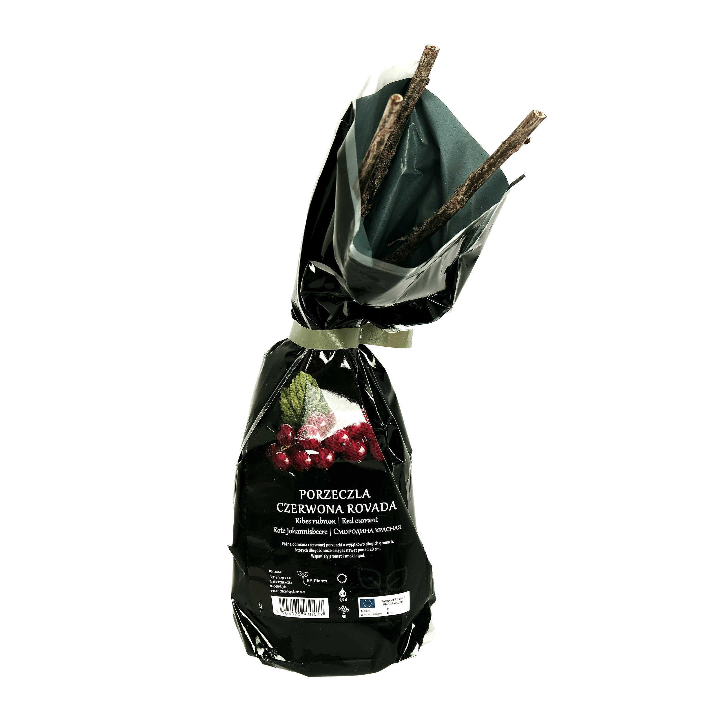 Porzeczkoagrest Balot 35 cm Berry&amp;More™