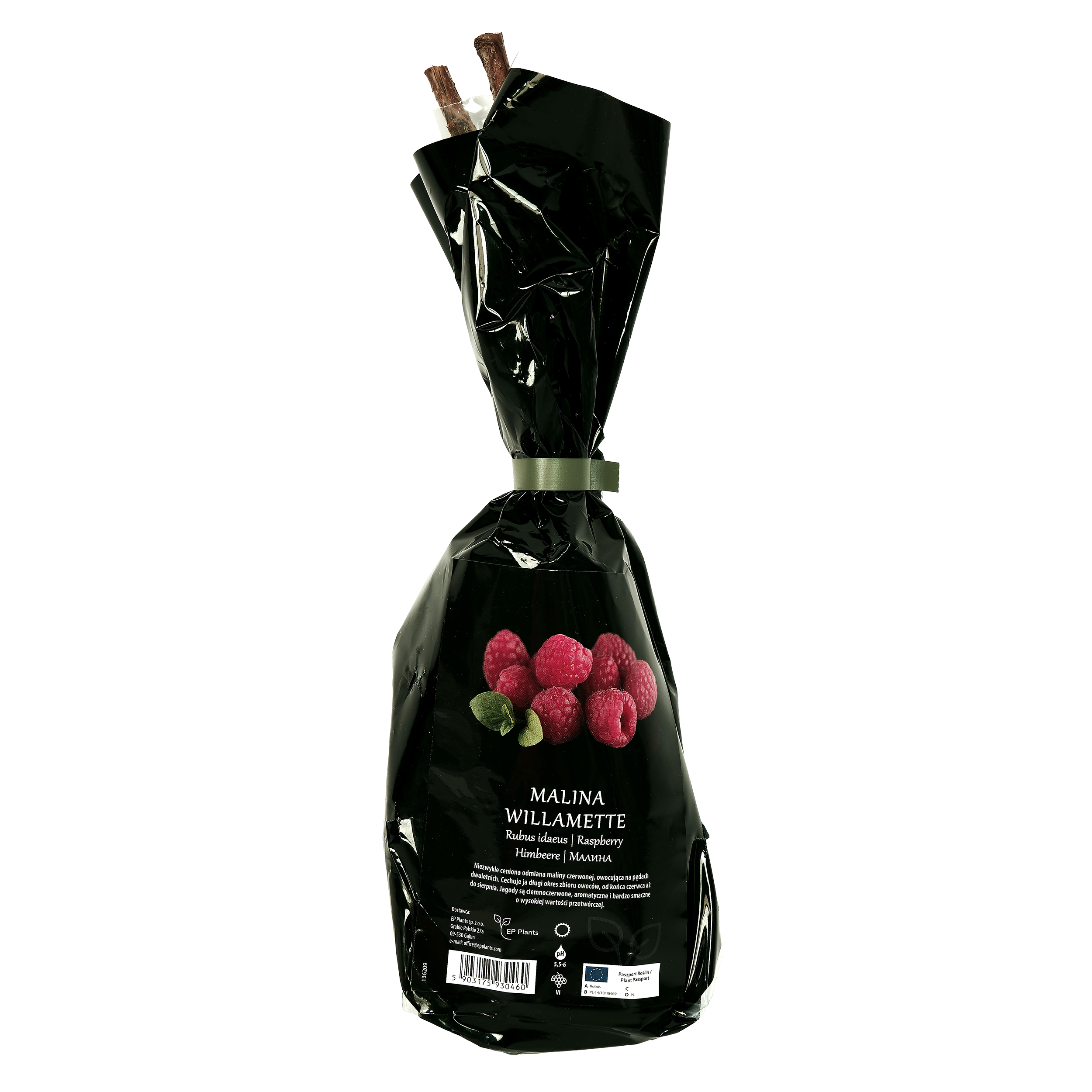 Malina czerwona Balot 35 cm Berry&amp;More™