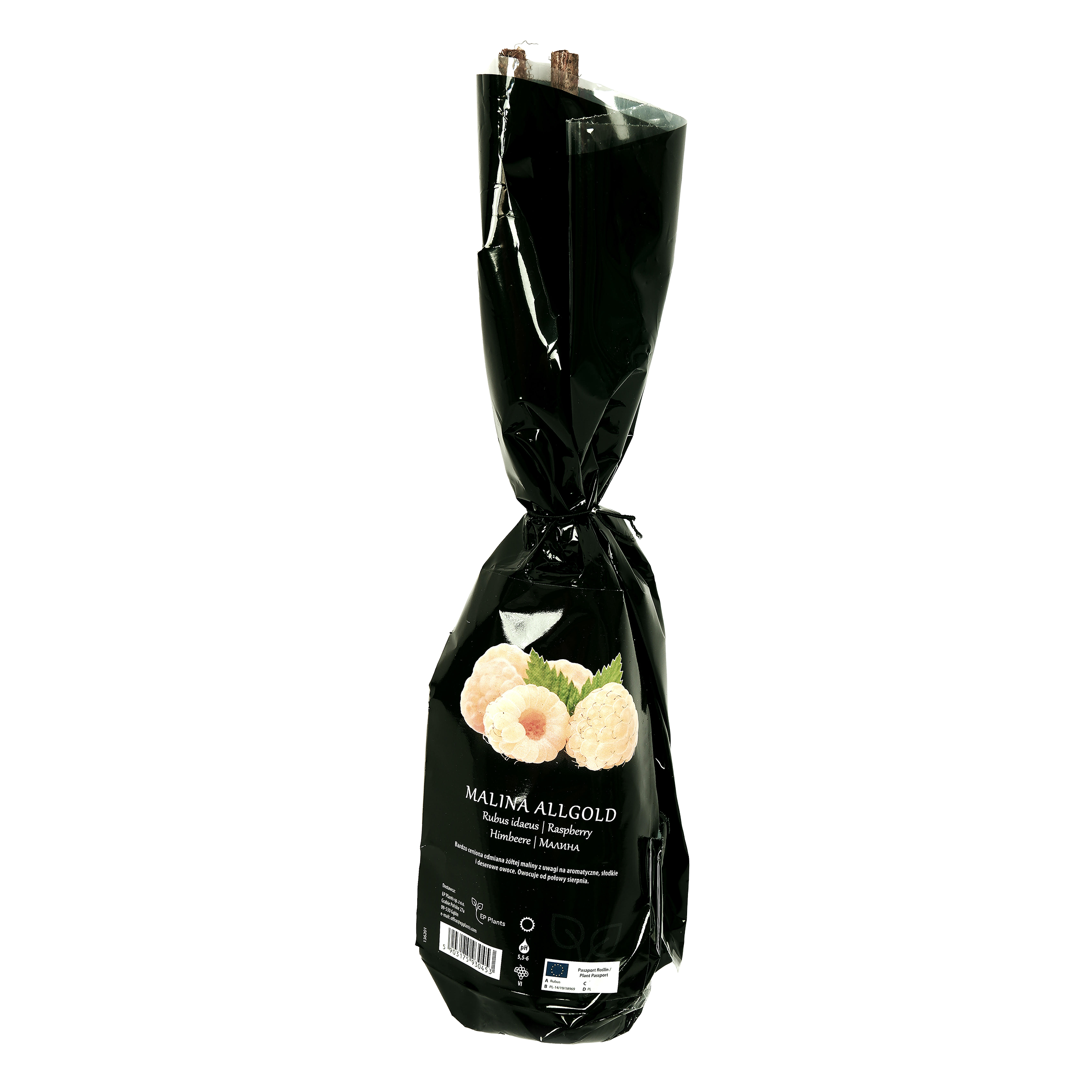 Malina żółta Balot 35 cm Berry&amp;More™
