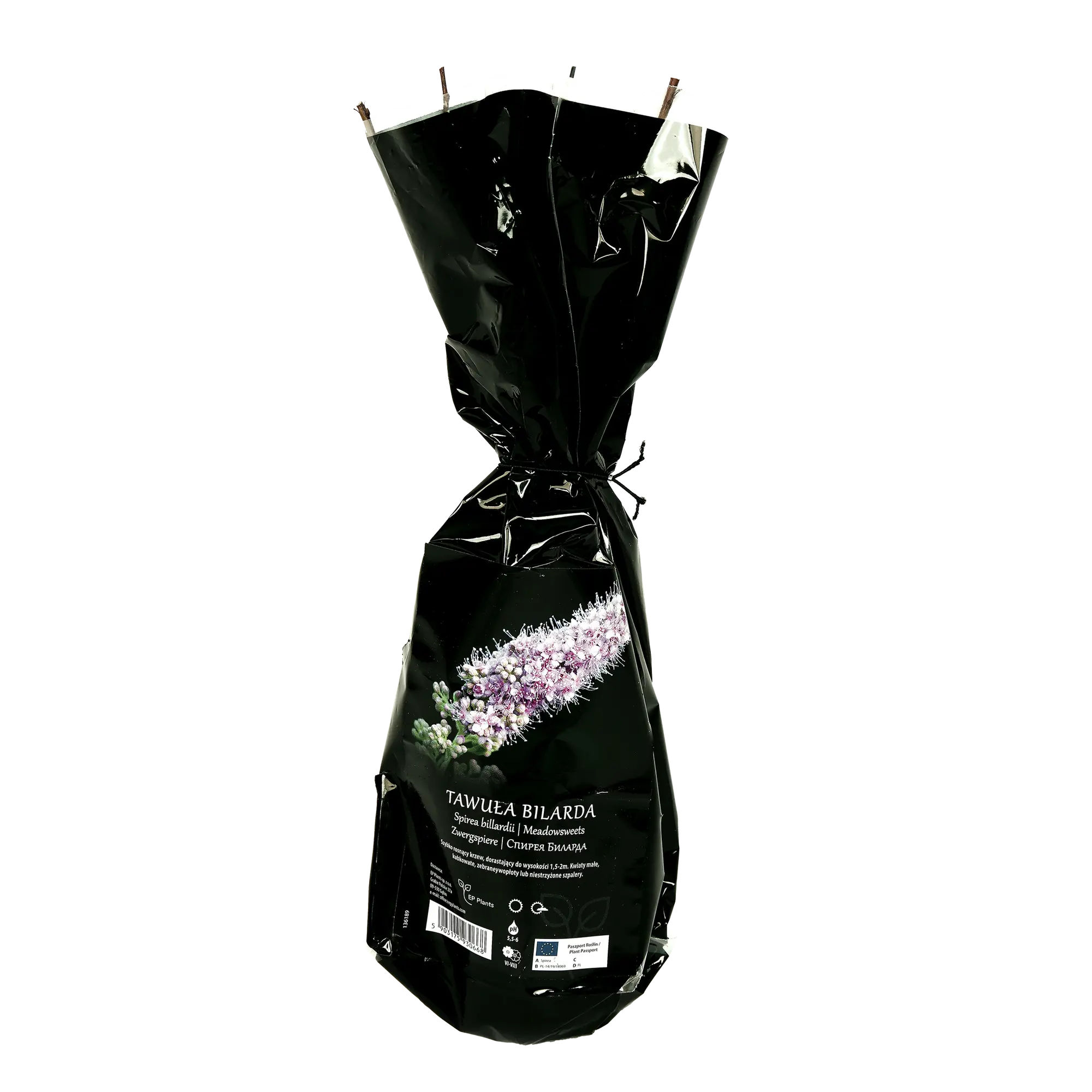 Tawuja Billarda Balot 35 cm Berry&amp;More™