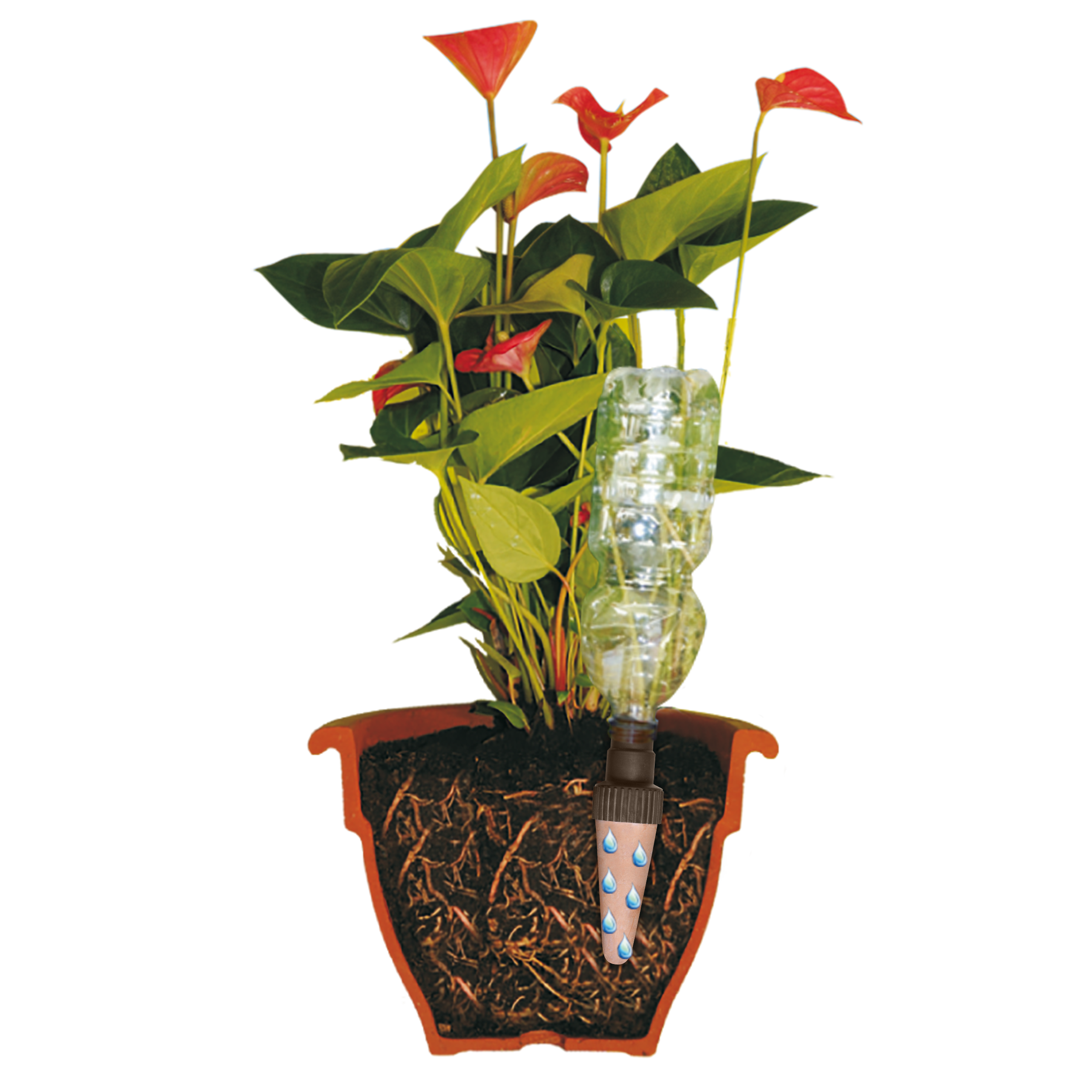 Gotero autónomo GEOLIA Acqua go maxi 3+1 gratis - 4