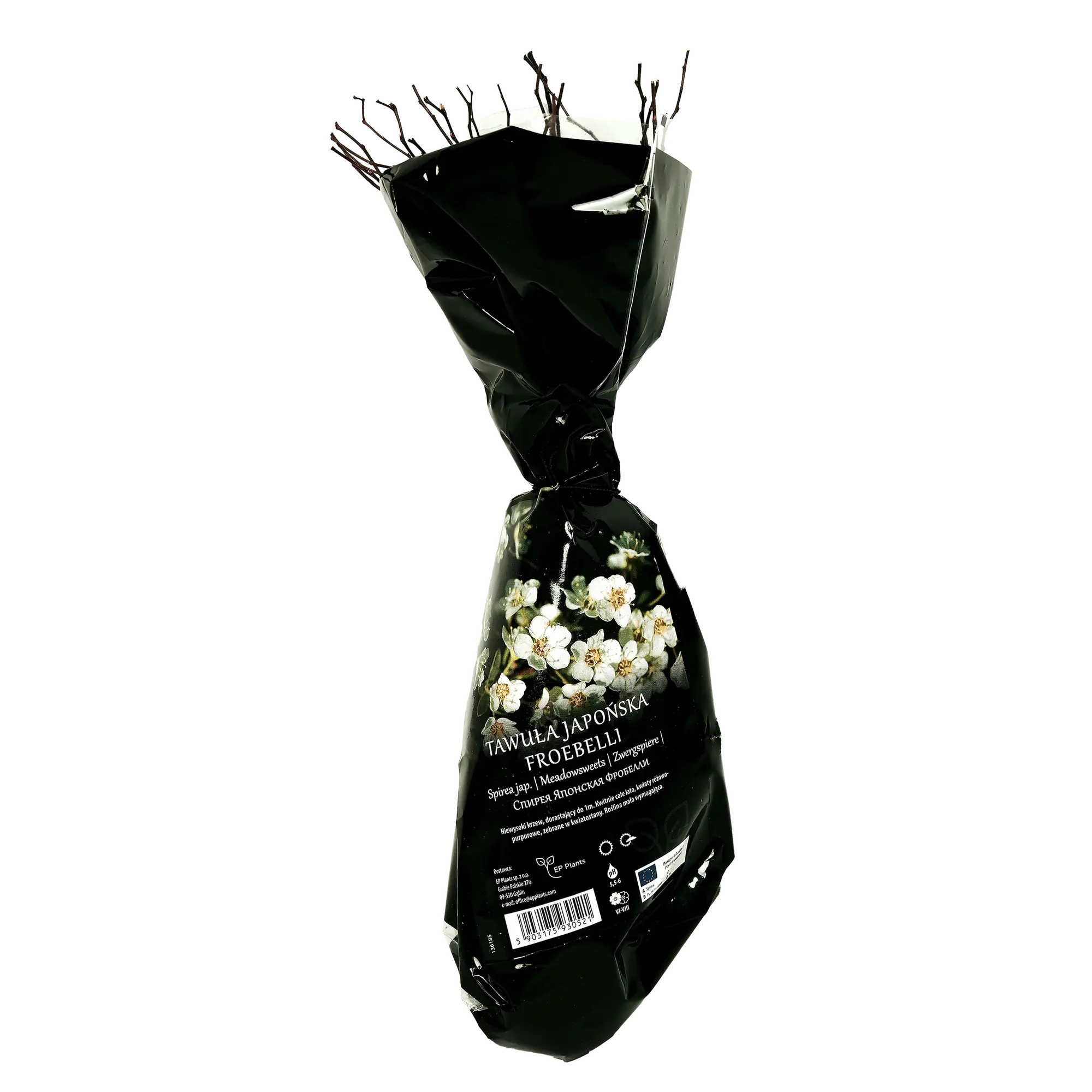 Tawuja Japońska Froebelli Balot 35 cm Berry&amp;More™