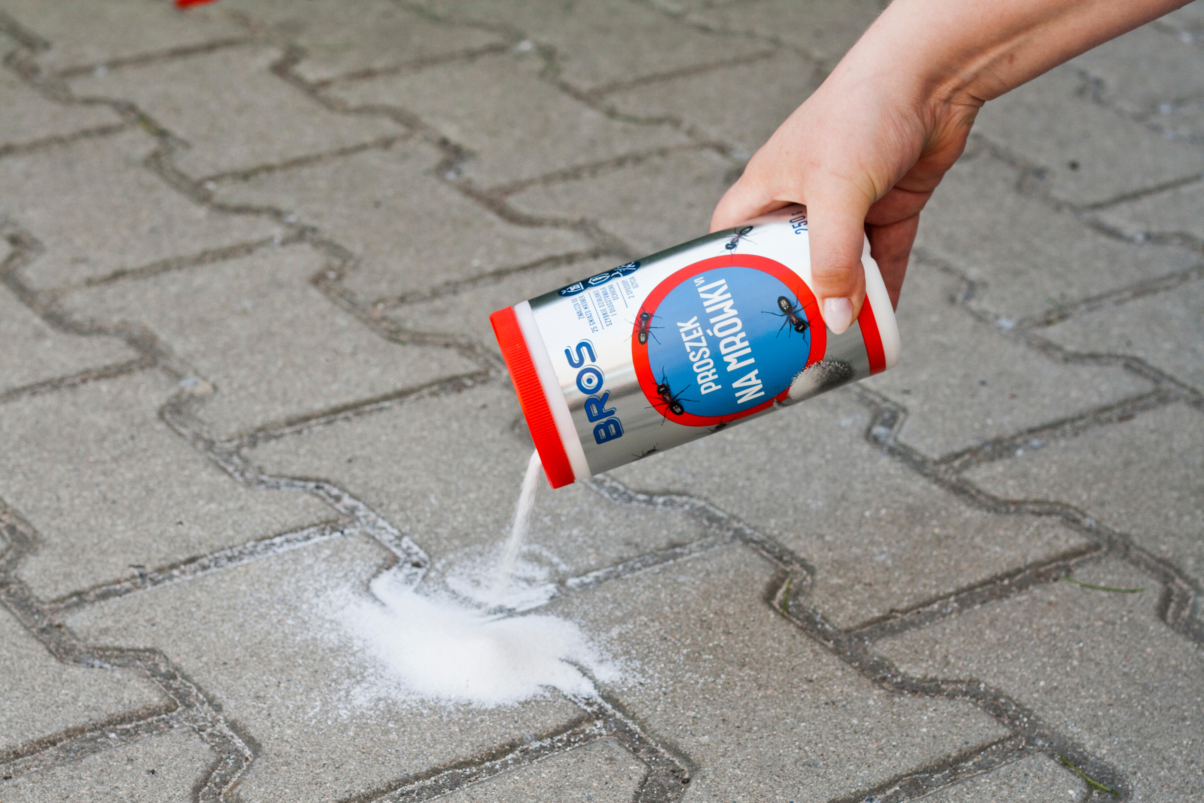 Środek na mrówki proszek 250g Bros - 3