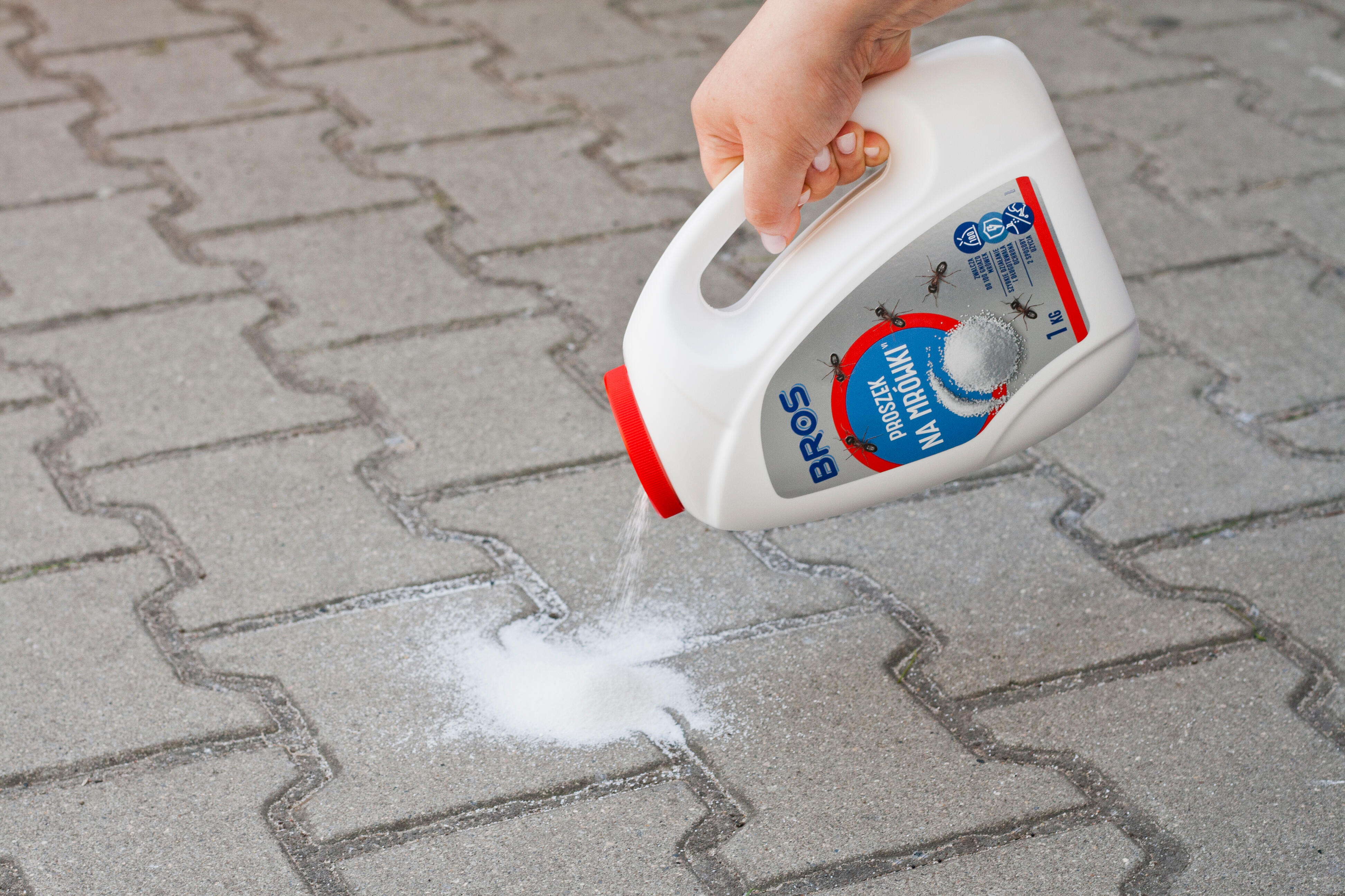 Proszek na mrówki 1kg Bros - 3