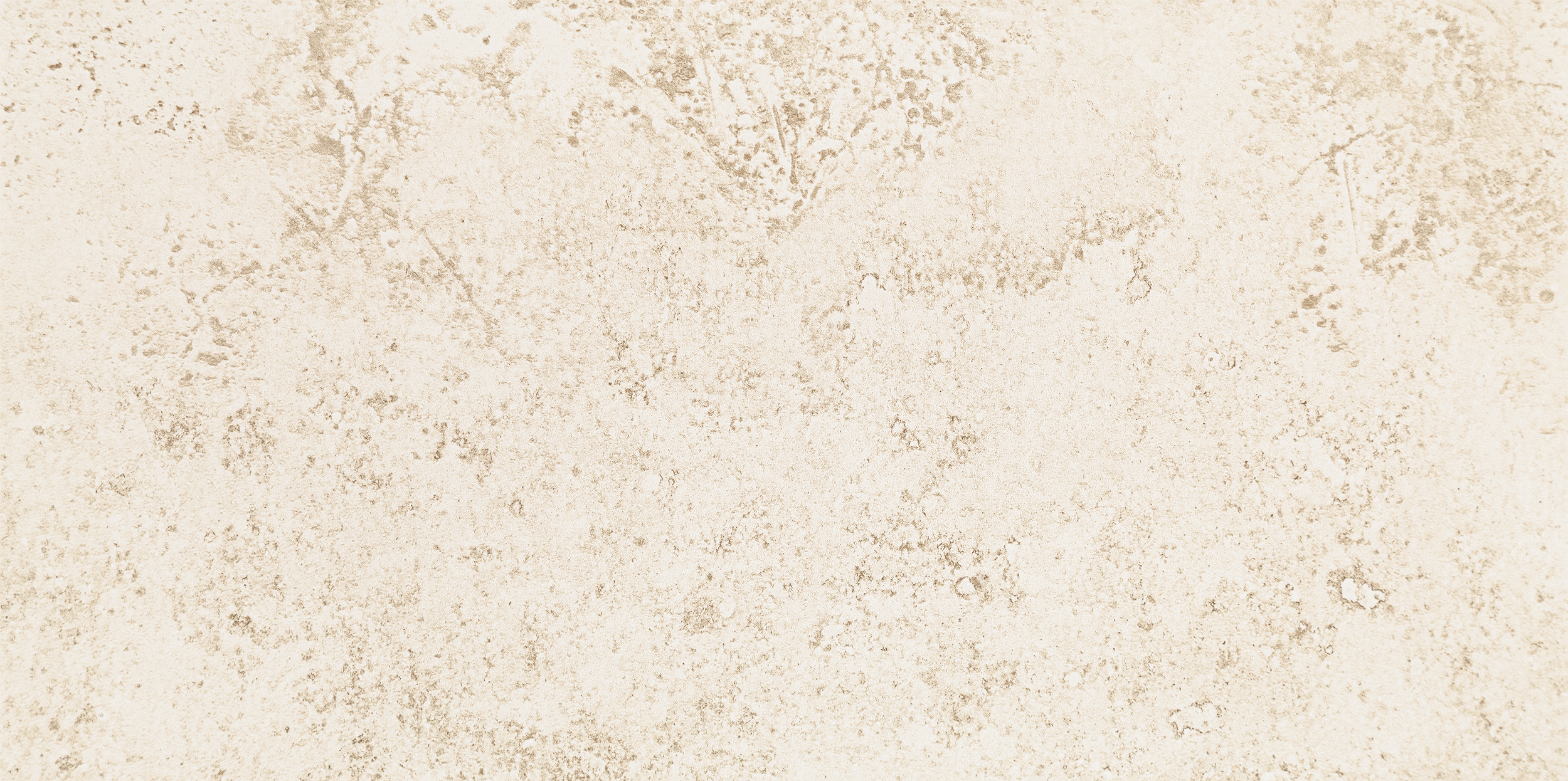 Glazura Floral Stone Mat 29.8x59.8 Arte