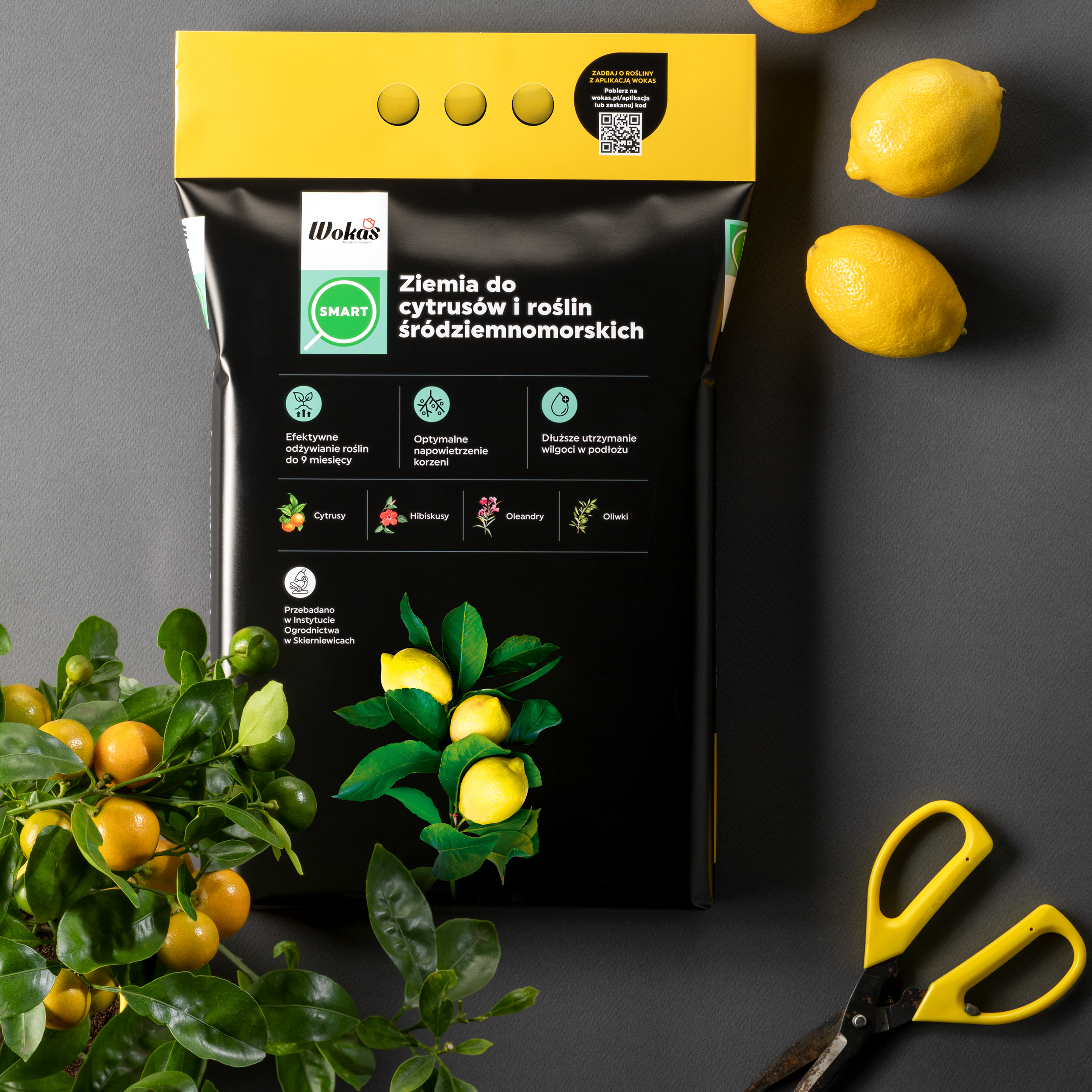 Ziemia do cytrusów i roślin śródziemnomorskich Smart 5l Wokas - 2