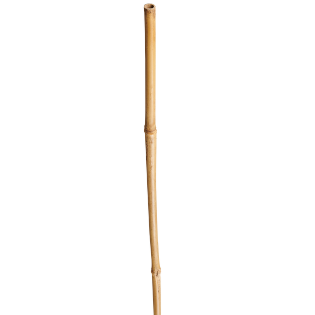 Tyczka bambusowa 180cm x 12/14 mm Nortene