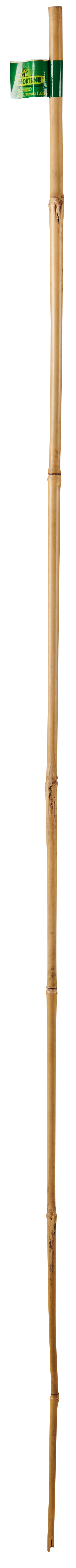 Tyczka bambusowa 210cm x 15/18 mm Nortene