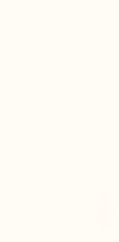 Glazura Gamma Bianca 9.8.x 19.8 Ceramika Paradyż