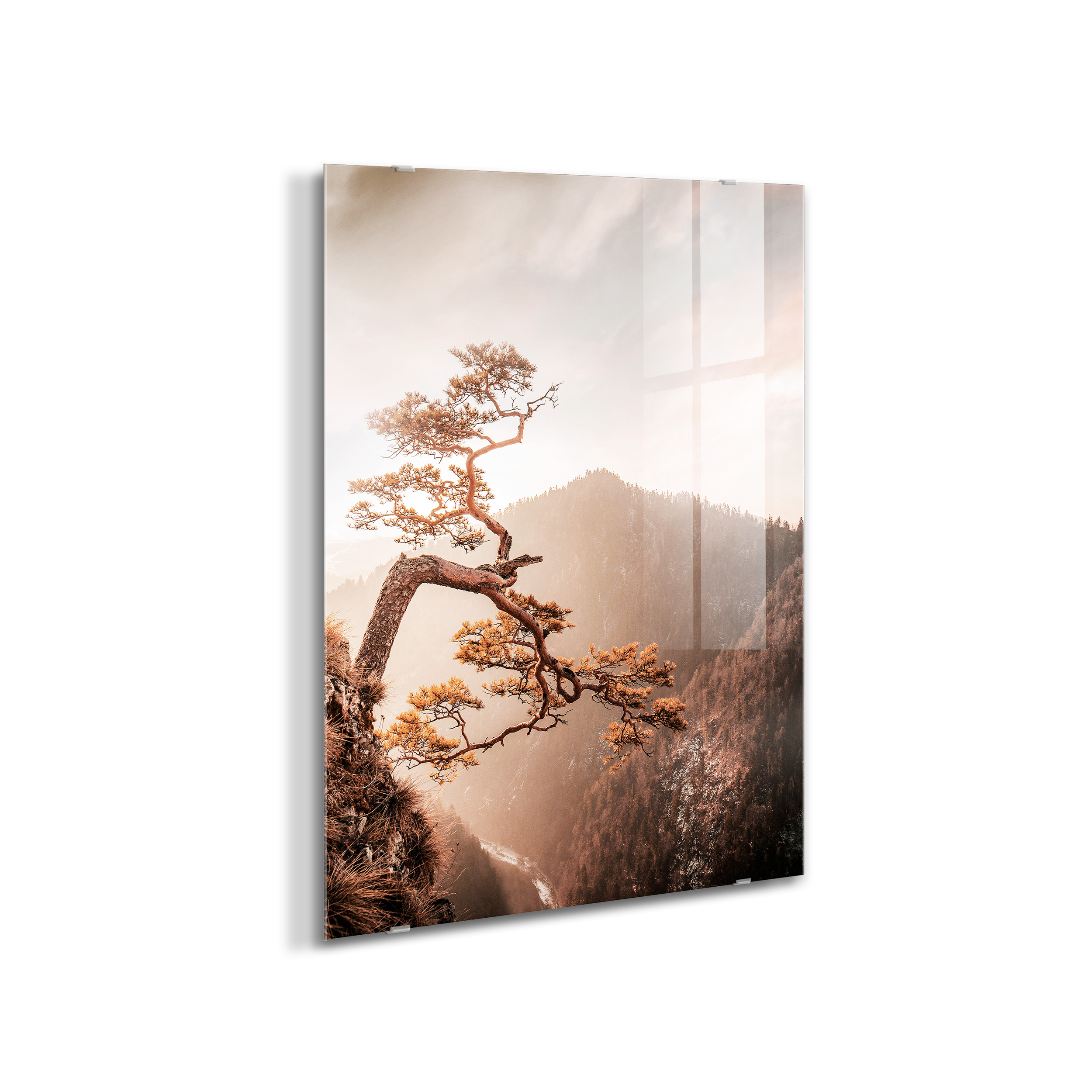 Kanwa Brown Tree 50 x 70 cm - 7