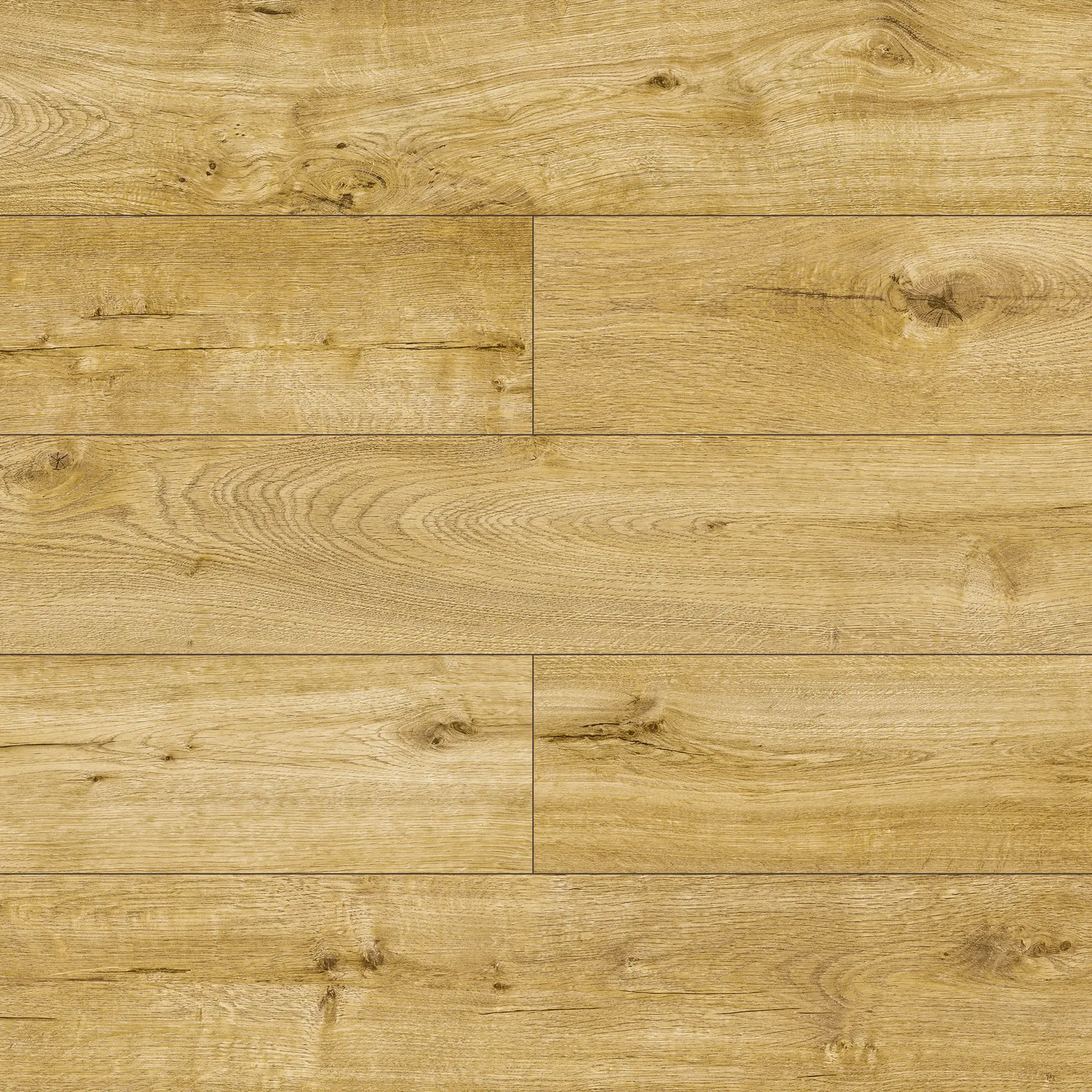 Panele podłogowe laminowane AC6 10 mm Promo Flooring Dąb Almirante