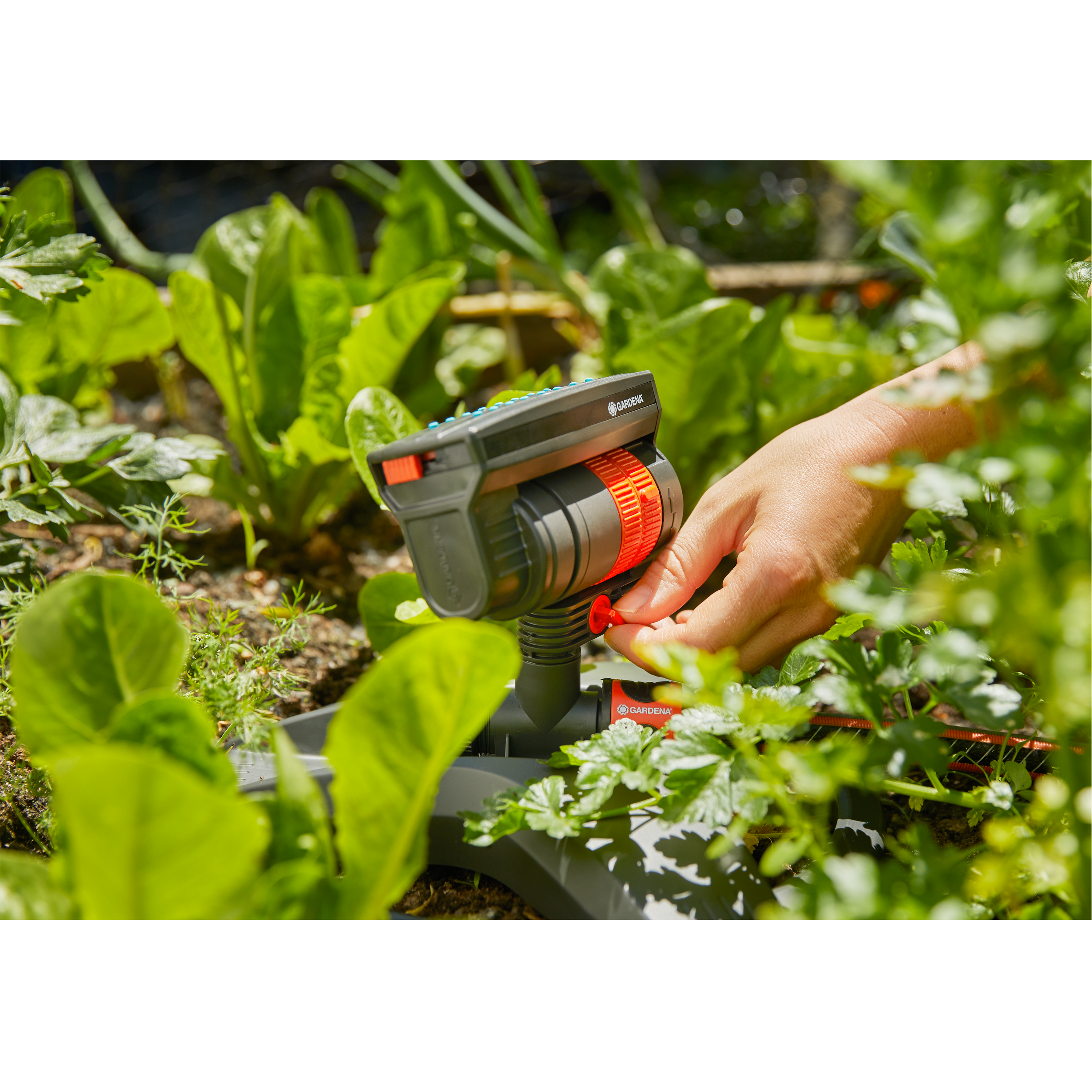 Zraszacz ogrodowy wahadłowy Aquazoom Compact Gardena - 2