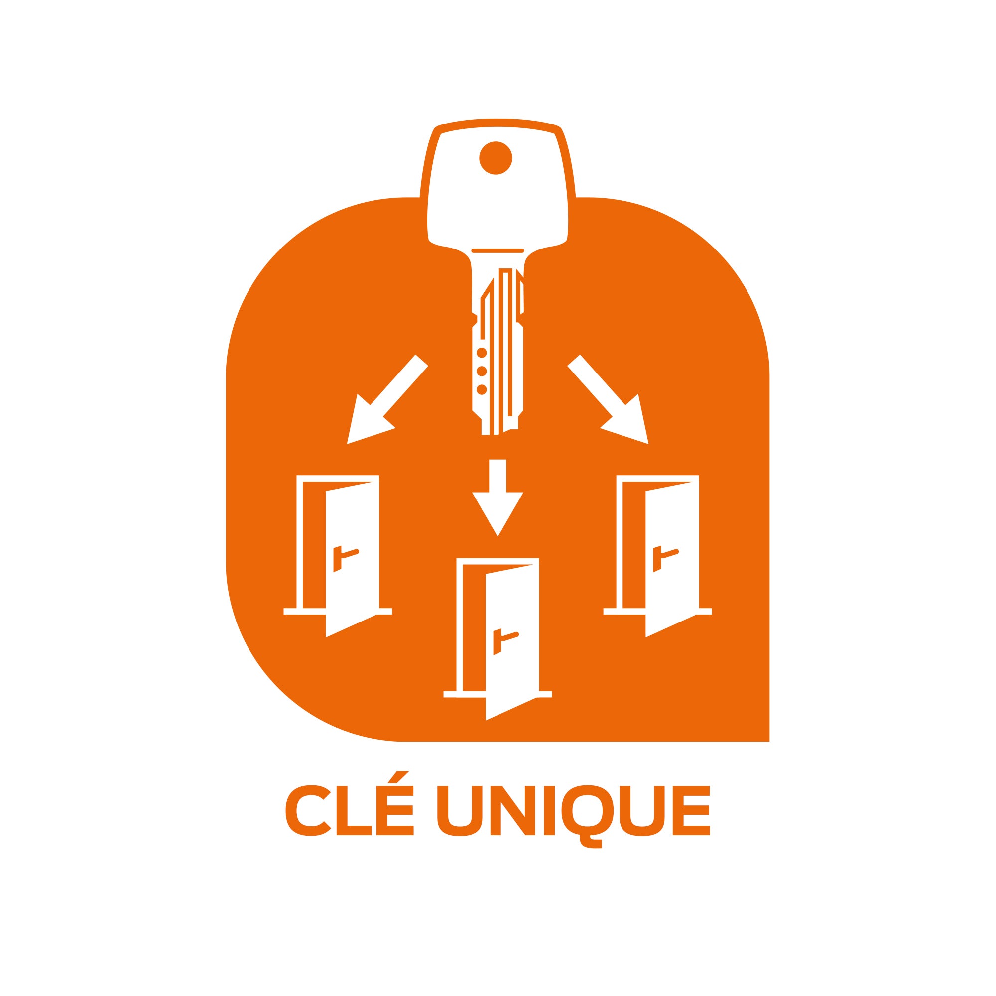 3 Cylindres de serrure clé unique BRICARD Astral débrayable 2x 30+30, 30+40 - 3