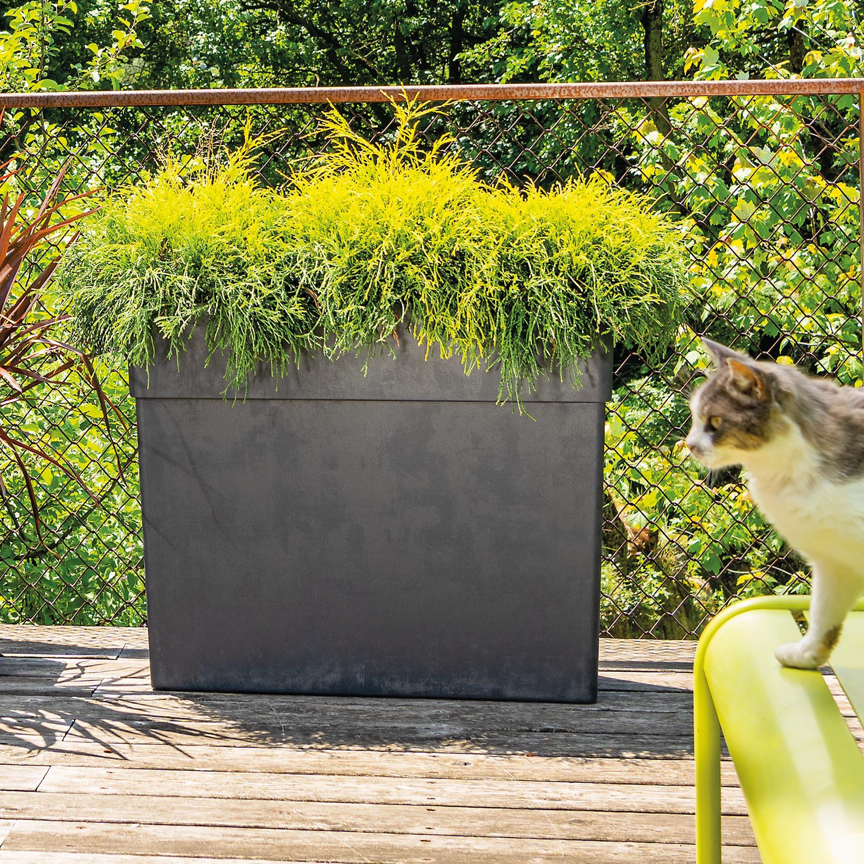 Pot de fleur rectangulaire DEROMA L. 78 x l. 29.5  x H.65 cm gris - 2