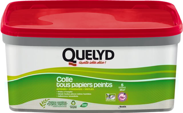 Colle en pâte pour papiers peints intissés QUELYD, 3kg