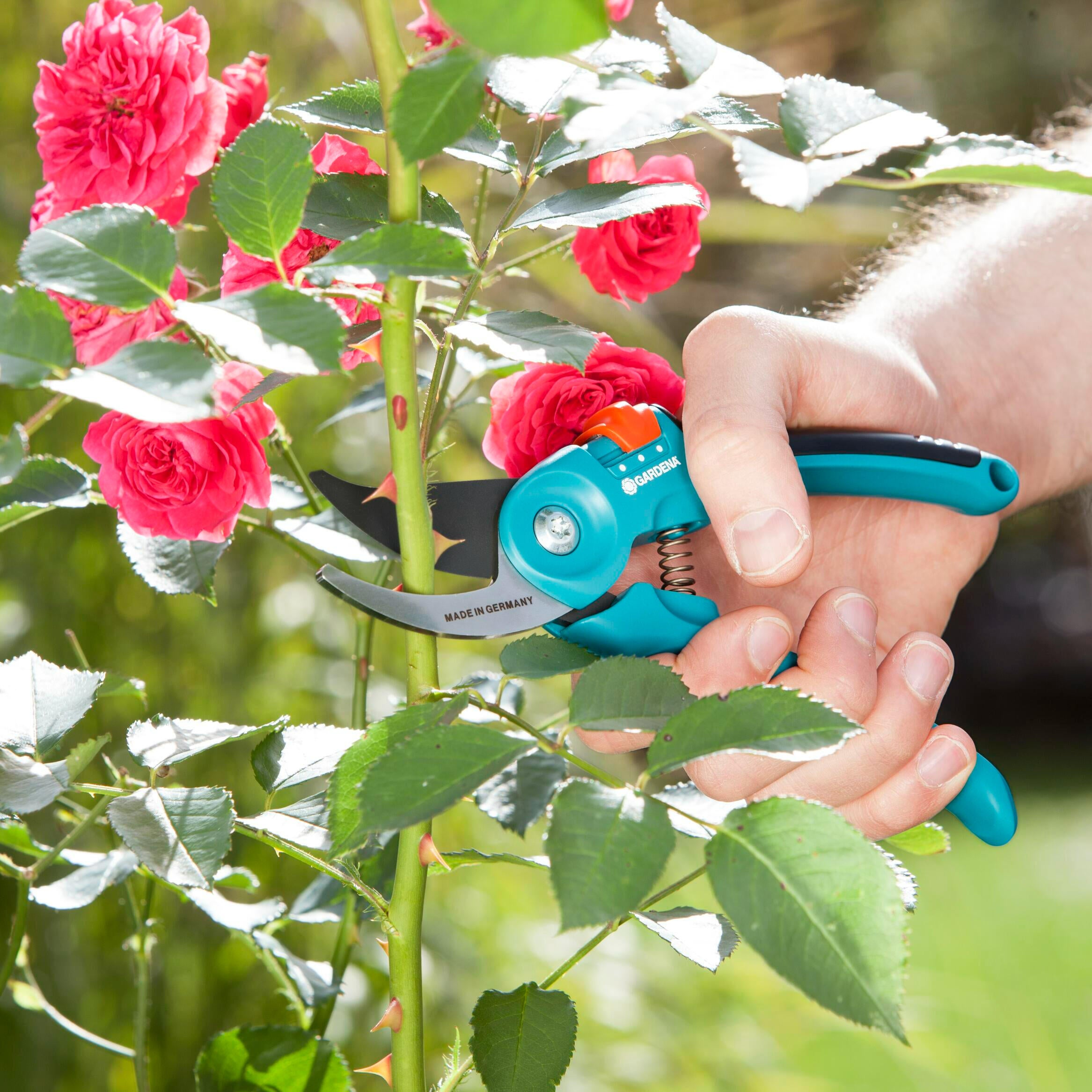 Sécateur réglable à lame franche acier trempé GARDENA B/S-M 8857-20,  22 mm - 7