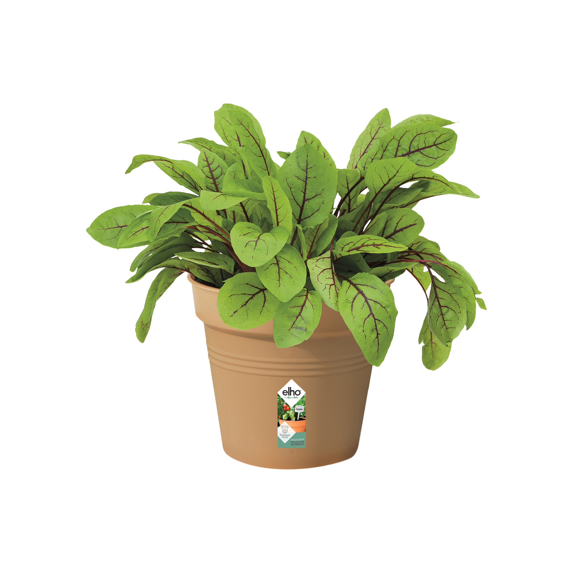 Vaso Basics Growpot ELHO in polipropilene terracotta H 12 x ø 13 cm - 9