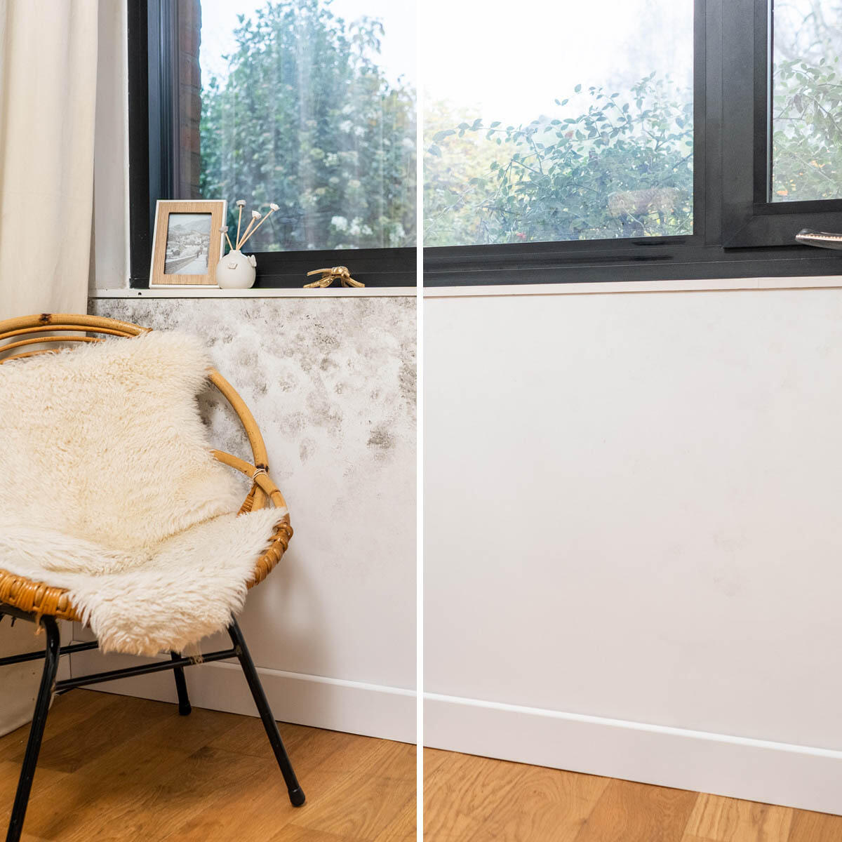 Nettoyant anti-moisissures sans javel STARWAX 500 ml - 2