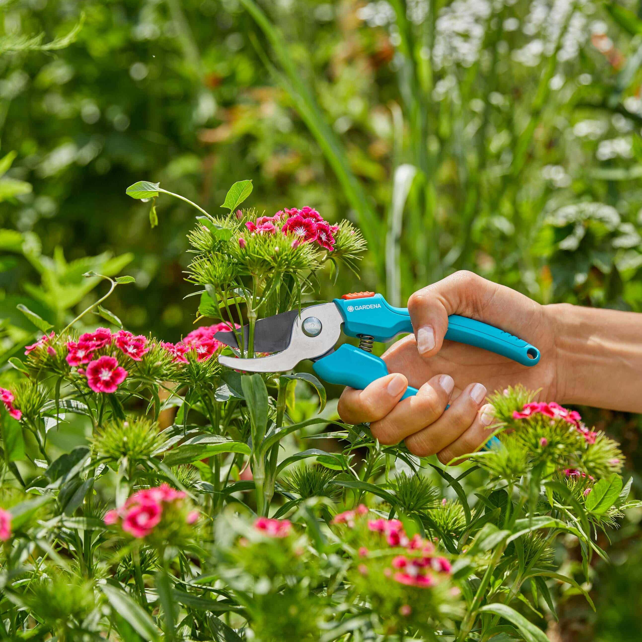 Potatore GARDENA Classic B-S lame in acciaio per rami fino a 20 mm - 3