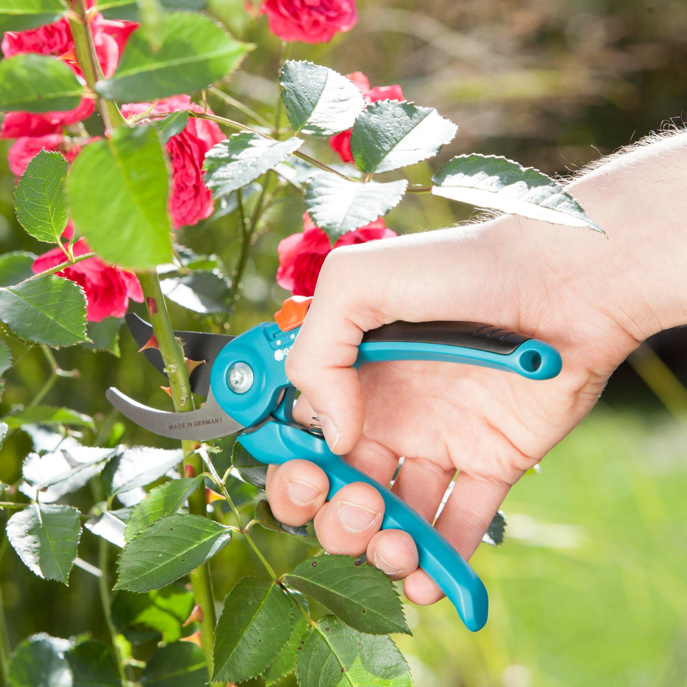 Sécateur réglable à lame franche acier trempé GARDENA B/S-M 8857-20,  22 mm - 2