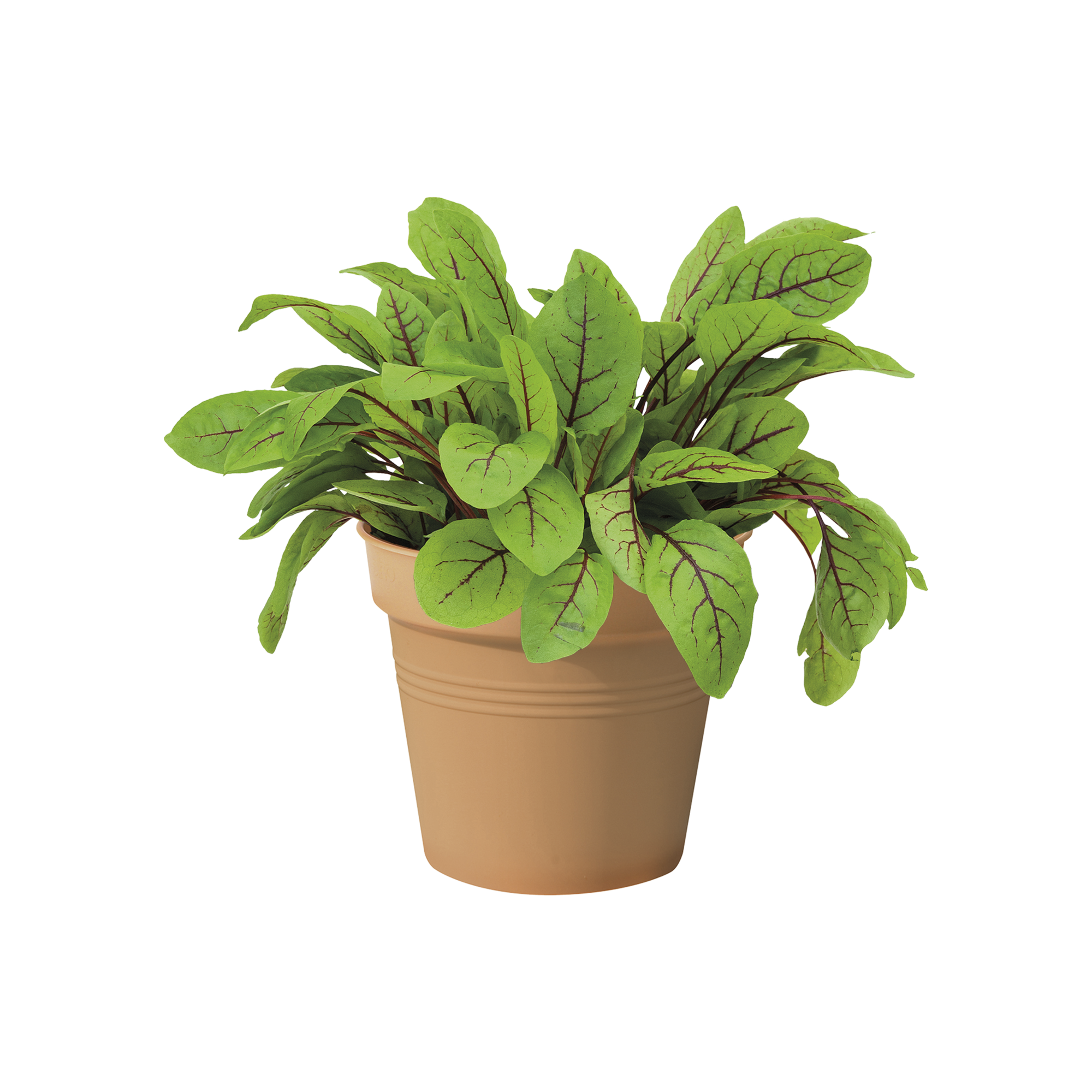 Vaso Basics Growpot ELHO in polipropilene terracotta H 12 x ø 13 cm - 6