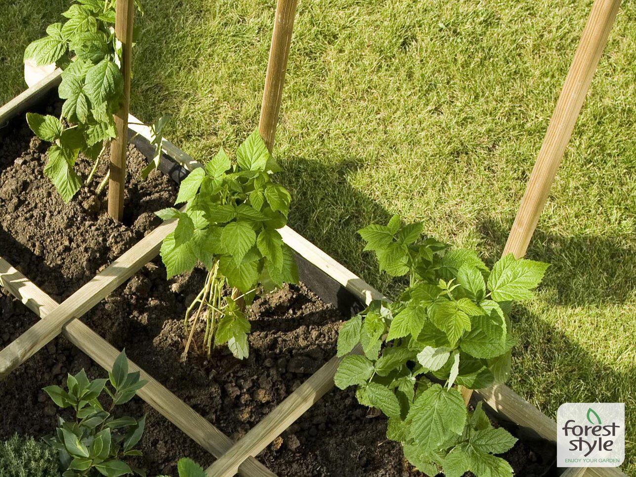 Tuteur bois fraisé, CERLAND, diamètre 6 x H.100 cm - 2