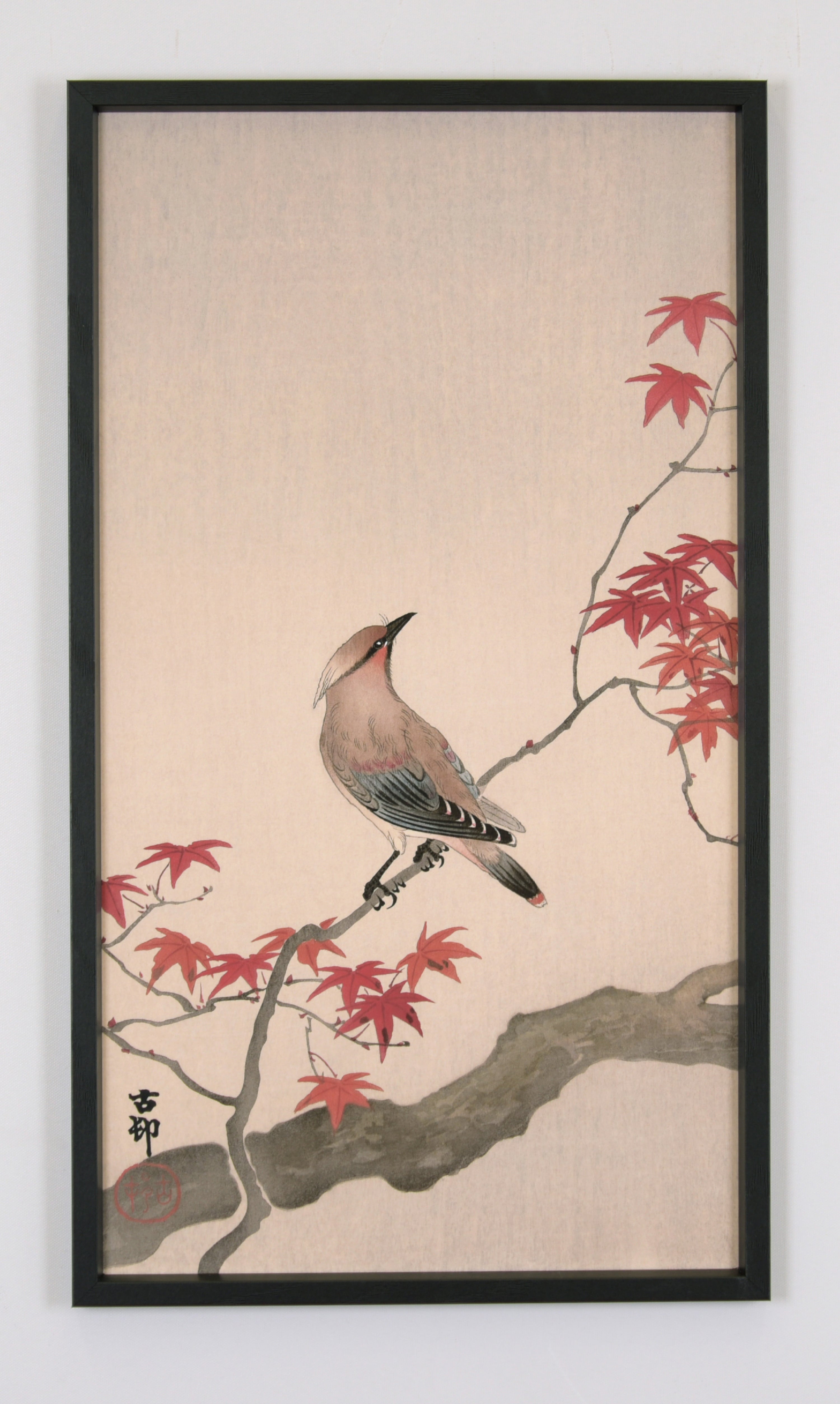 Image encadrée Oiseau l.31 x H.55 cm - 2