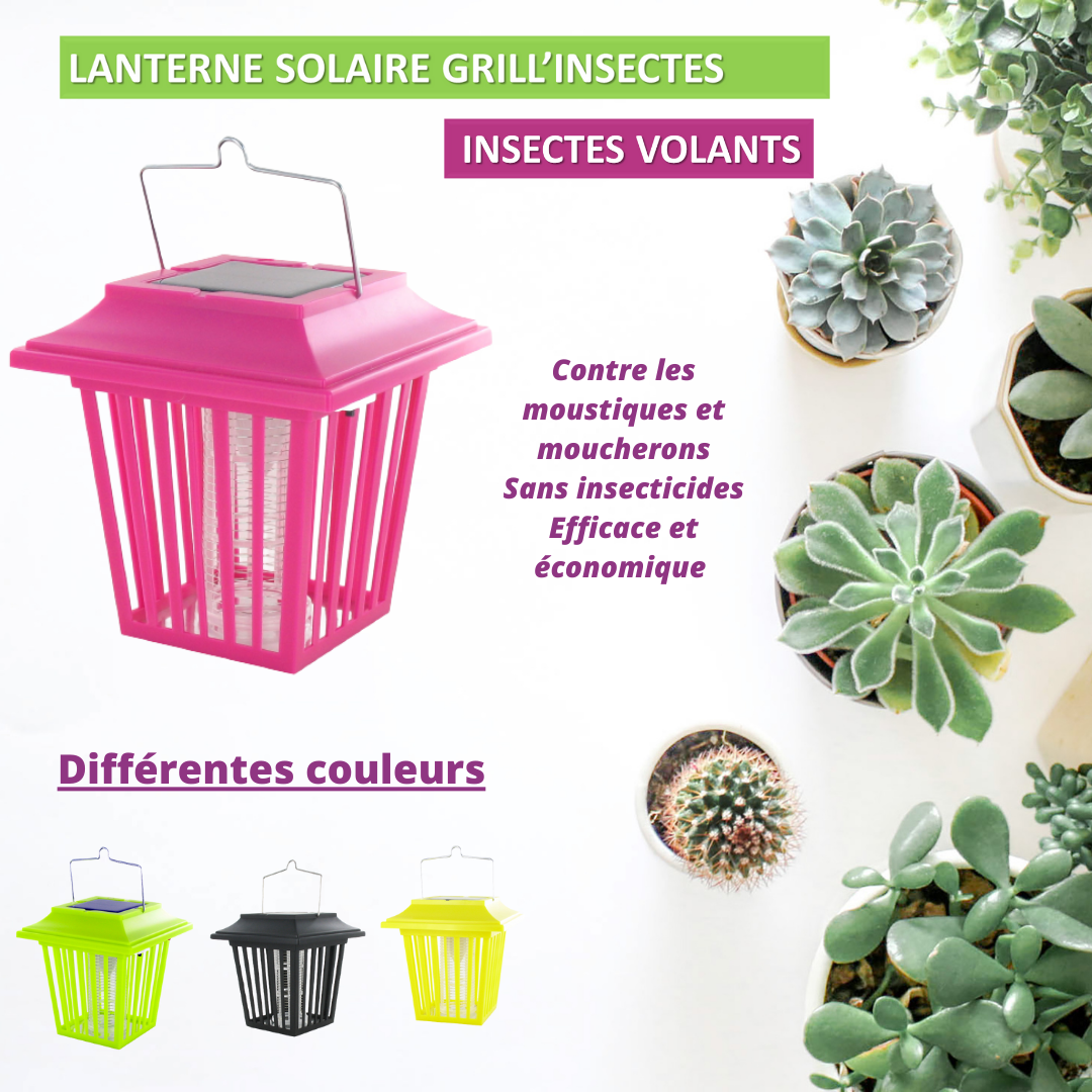 GRILL’INSECTES LANTERNE SOLAIRE - POSEE OU SUSPENDUE PROTEGE 20m² - 2