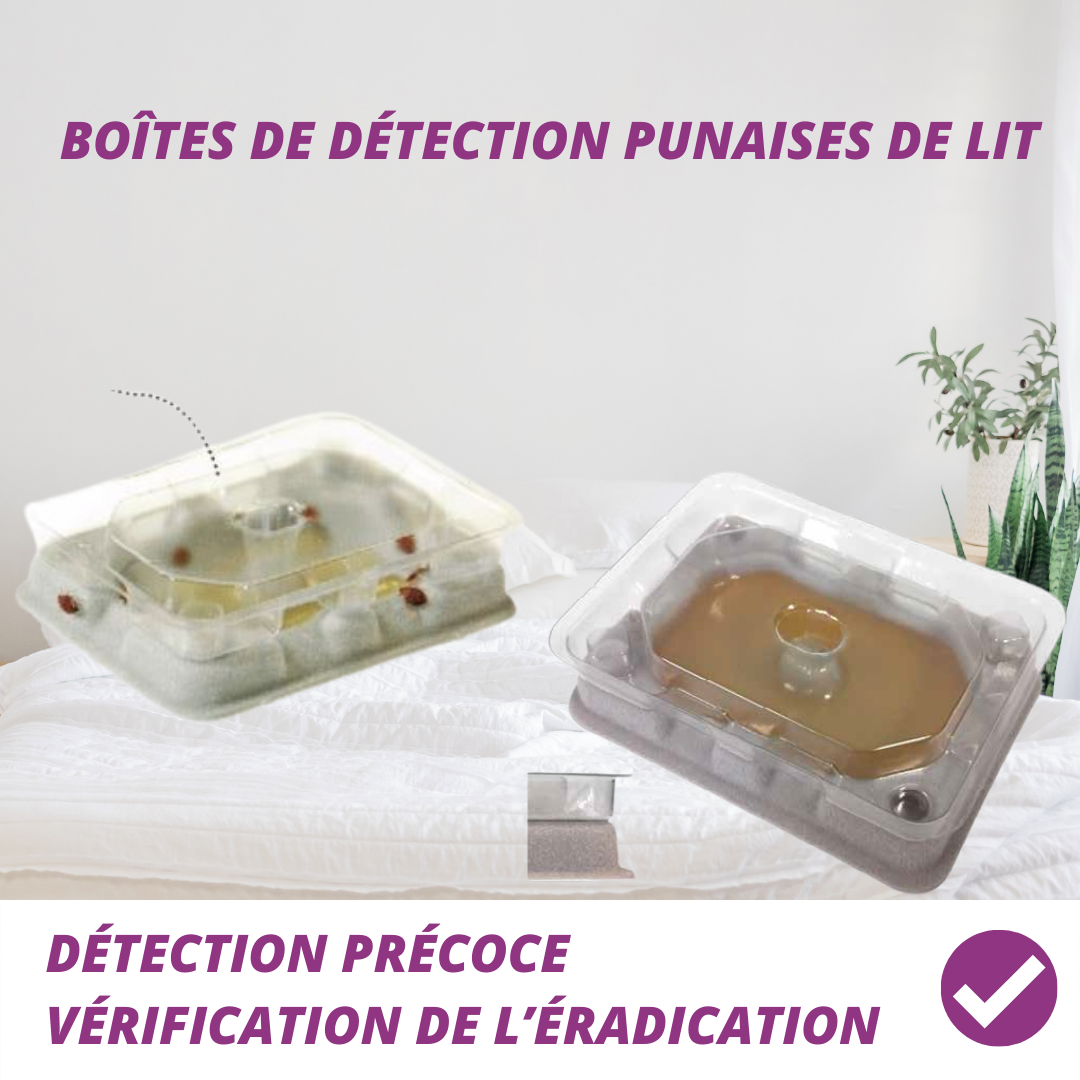BOÎTES DE DÉTECTION PUNAISES DE LIT - LOT DE 4 - 5