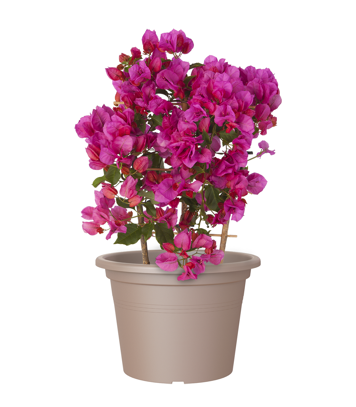 Vaso Venezia ARTEVASI in polipropilene tortora H 27.5 x ø 40 cm - 2