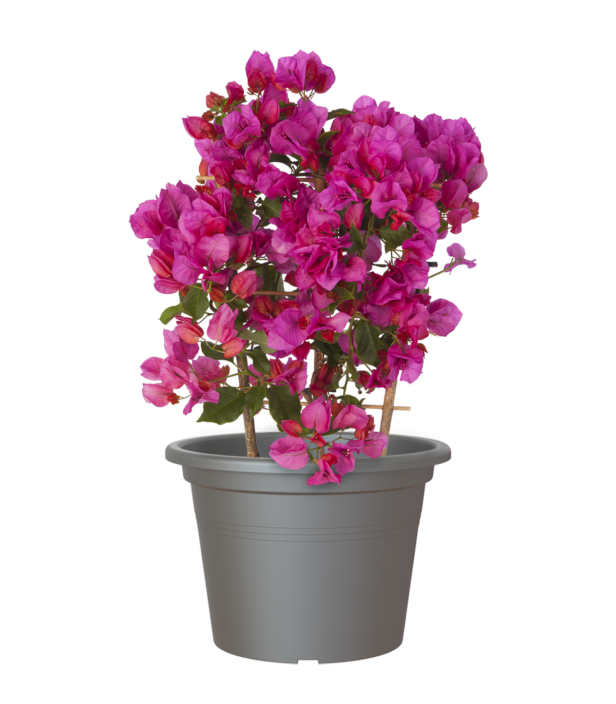 Vaso de resina CILINDRO D20CM ANTRACITE - 2