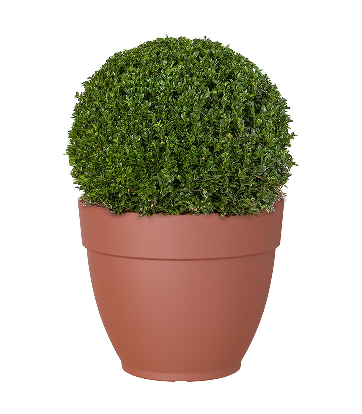 Vaso Capri ARTEVASI in polipropilene terracotta H 25.2 x ø 30 cm - 2