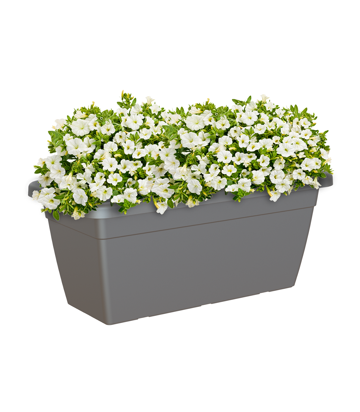 Floreira de plástico GRANDE 60X32CM CINZA - 2