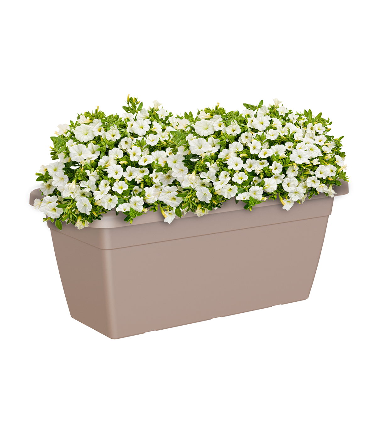 Jardinera xl venezia topo 60x30x26,5cm