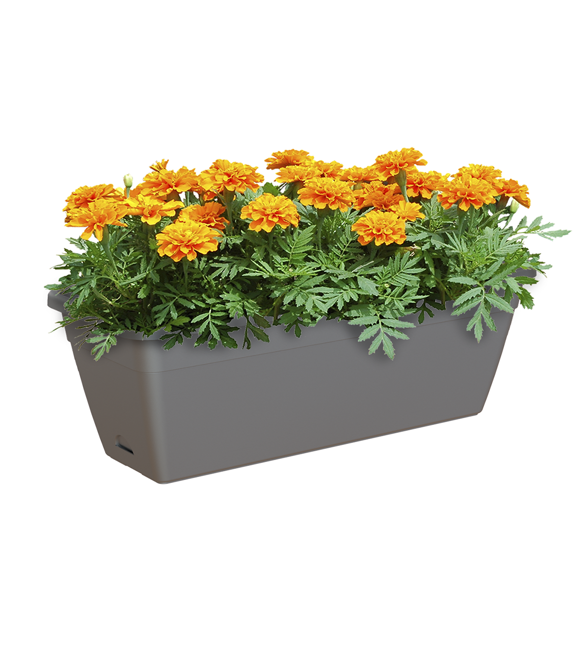 Floreira de resina VENEZA 50CM ANTRACITE - 2