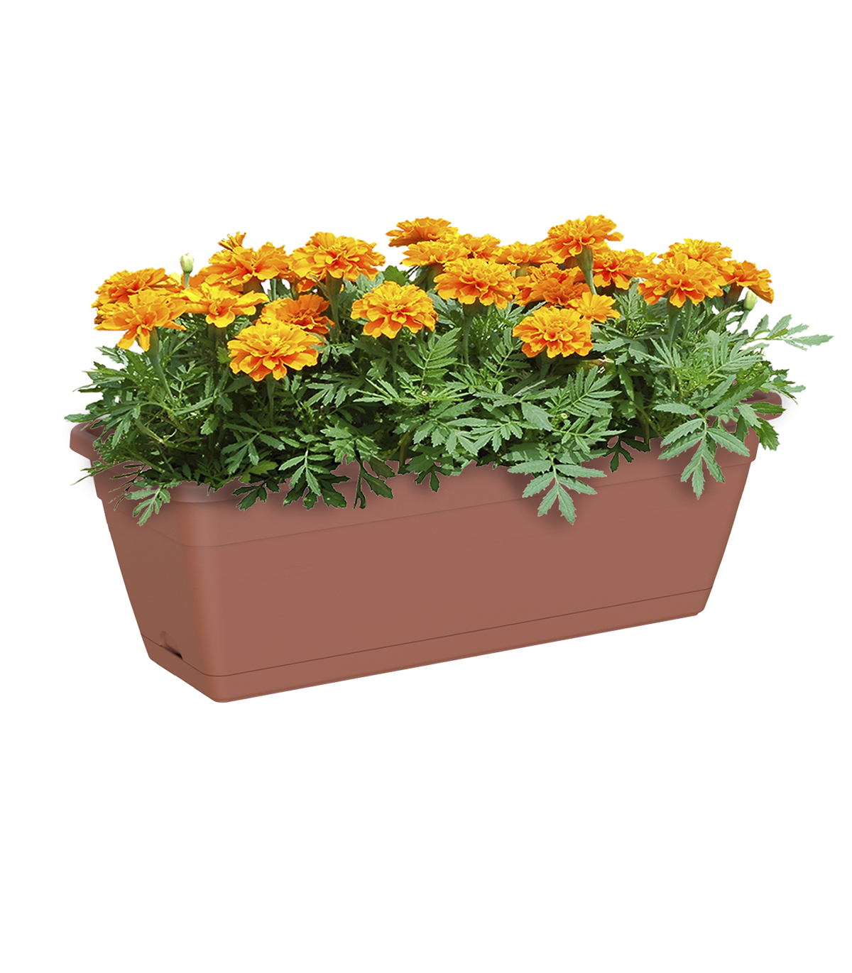 Vaso da fiori con riserva d'acqua VENEZRIS40/01, 7 lt terracotta rettangolare L 39 x H 16.6 cm - 3