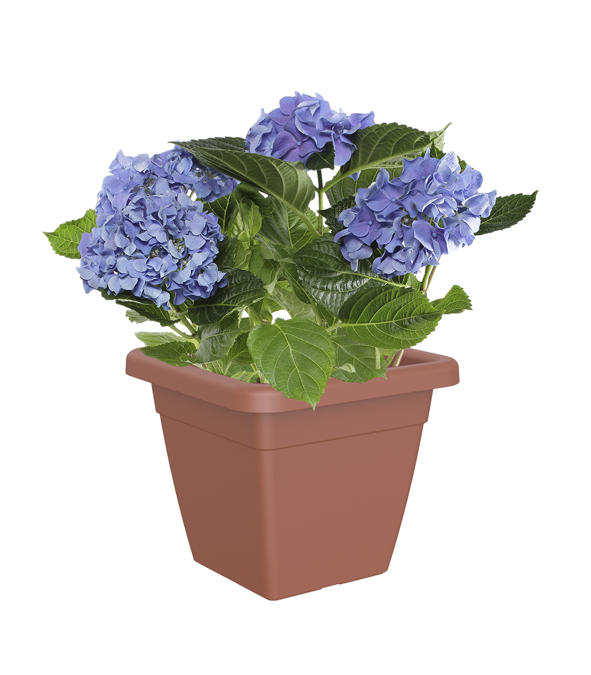 Vaso Venezia ARTEVASI in polipropilene terracotta H 33.8 x L 39.2 cm - 4