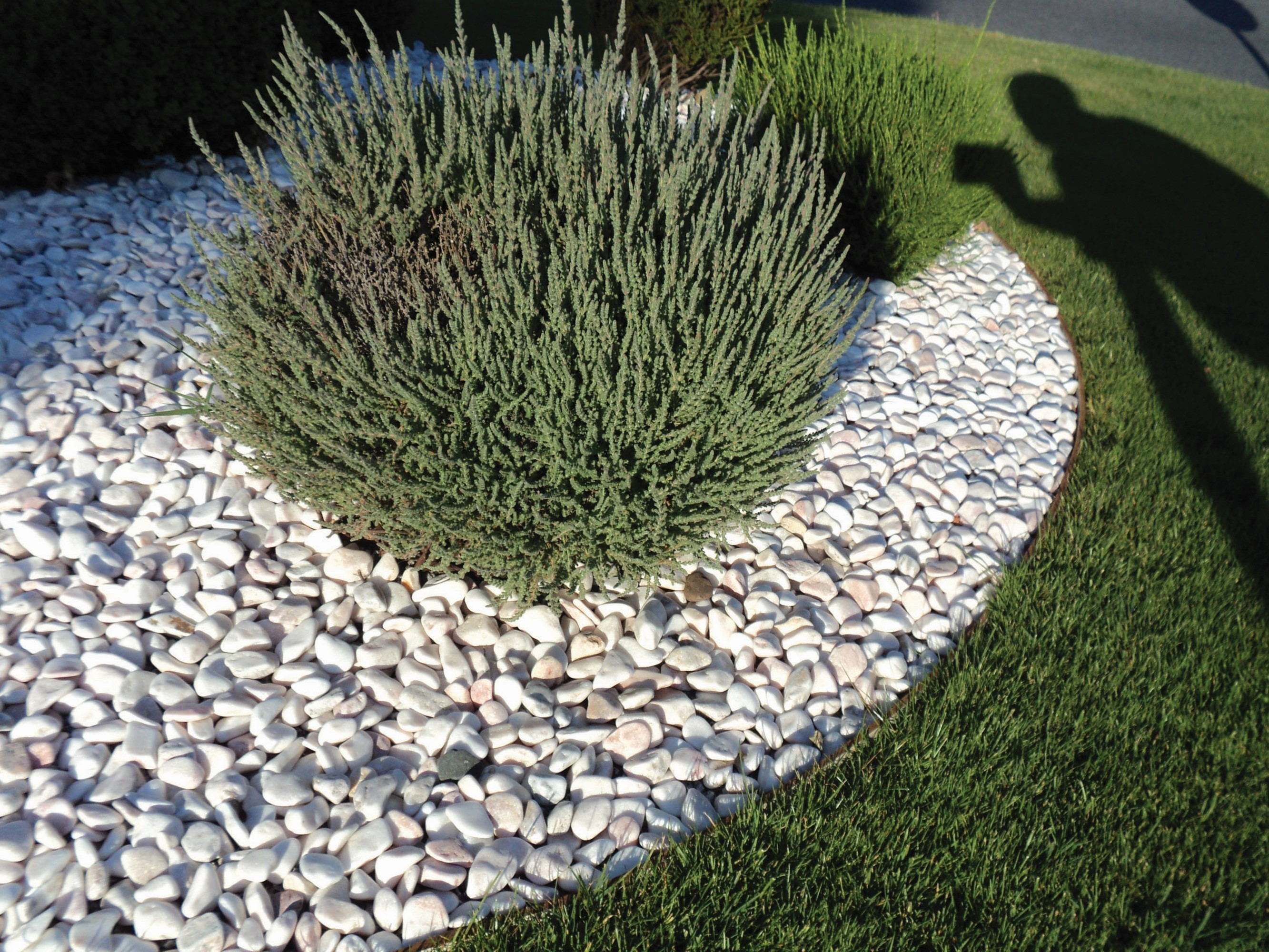 Pedra decorativa MÁRMORE BRANCO ROLADO 3-6 CM 25 KG - 2