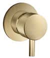 ver variante Color Bronce