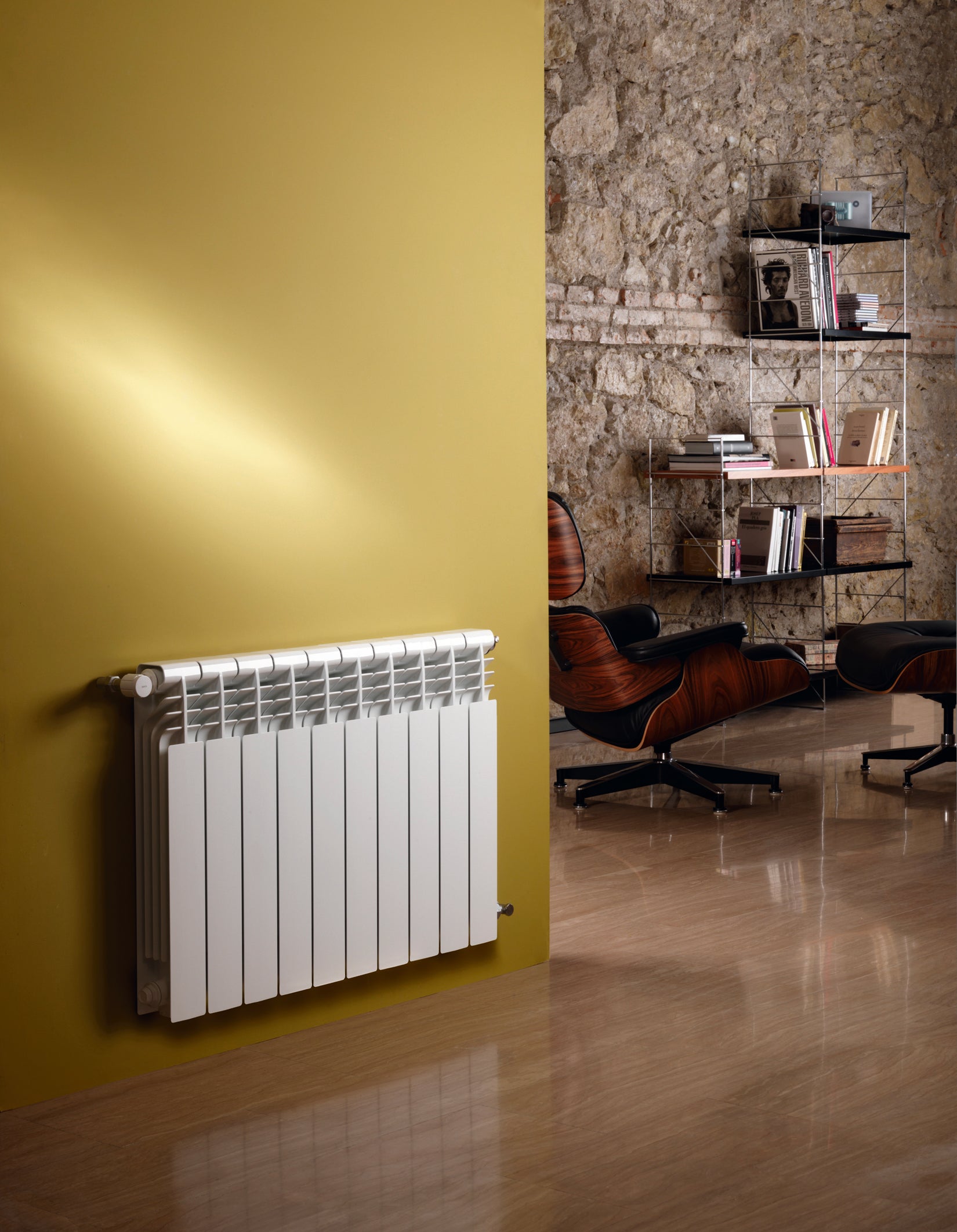 Radiador de agua BAXI DUBAL 45 10 elementos - 2