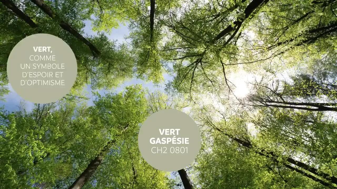 Peinture mur vert gaspésie satin RIPOLIN Cuisine et bain 750ml - 8
