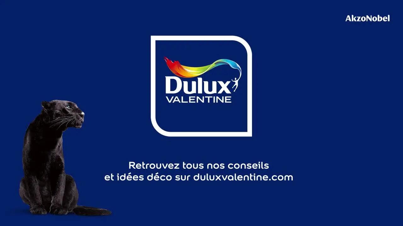 Peinture boiserie, radiateur lin clair satin DULUX VALENTINE Valénite glycéro 0. - 6