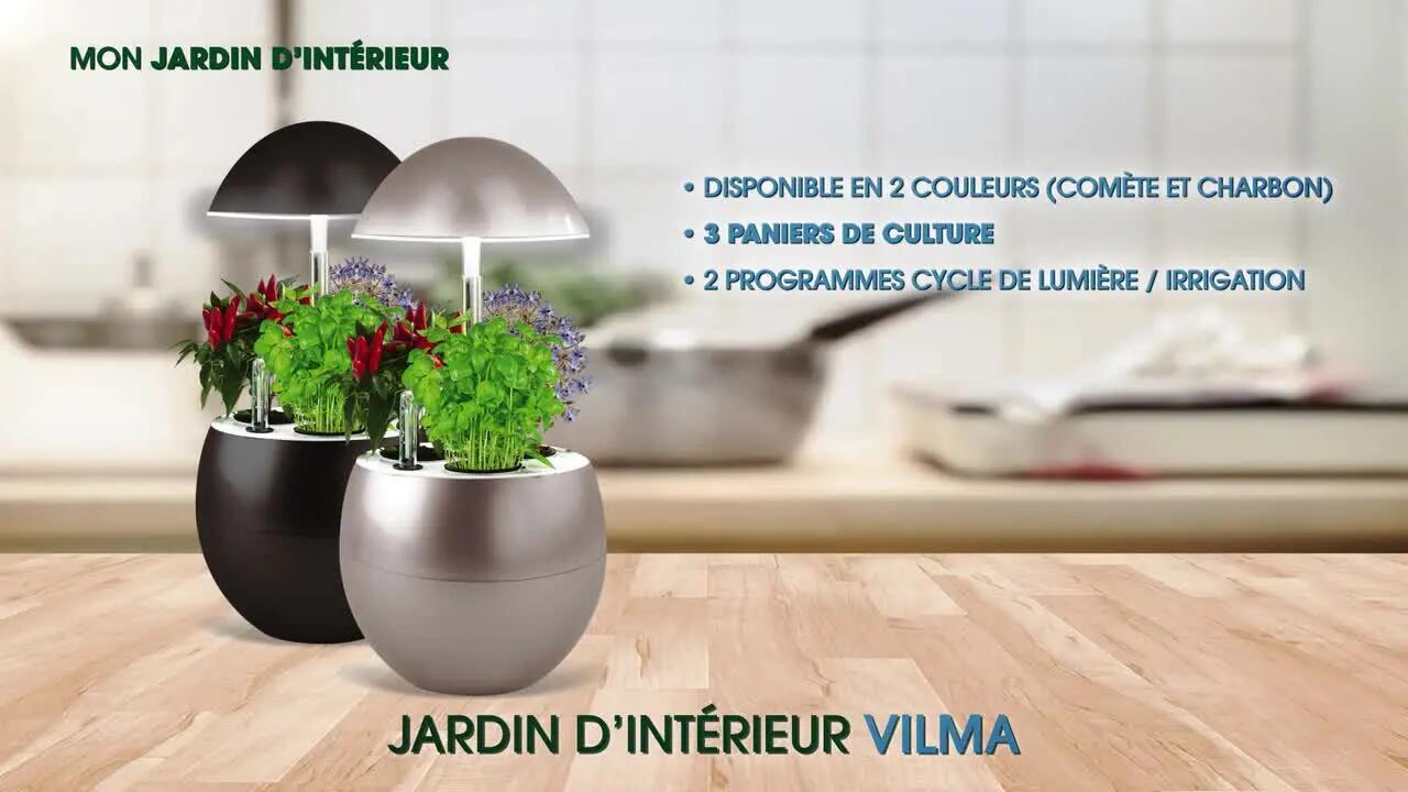 Graine aneth officinal bio, Kitchen Gardening By Vilmorin, 0,3 g - 2