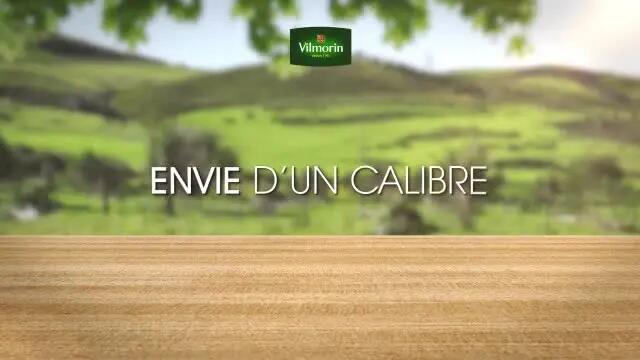 Graines VILMORIN 143 g - 2