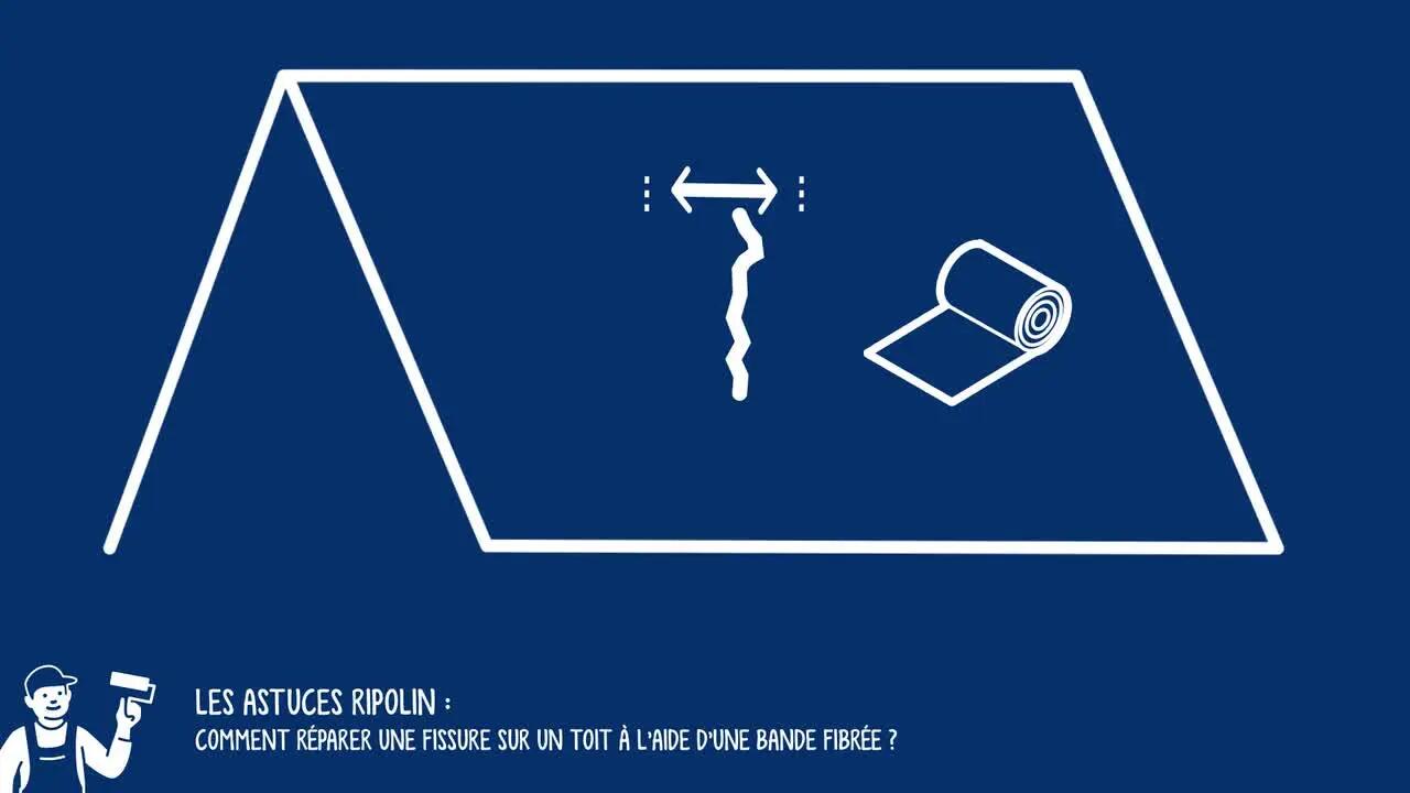 Revêtement d'étanchéité toiture Anti-infiltration toiture dip etanch RIPOLIN 0.7 - 6
