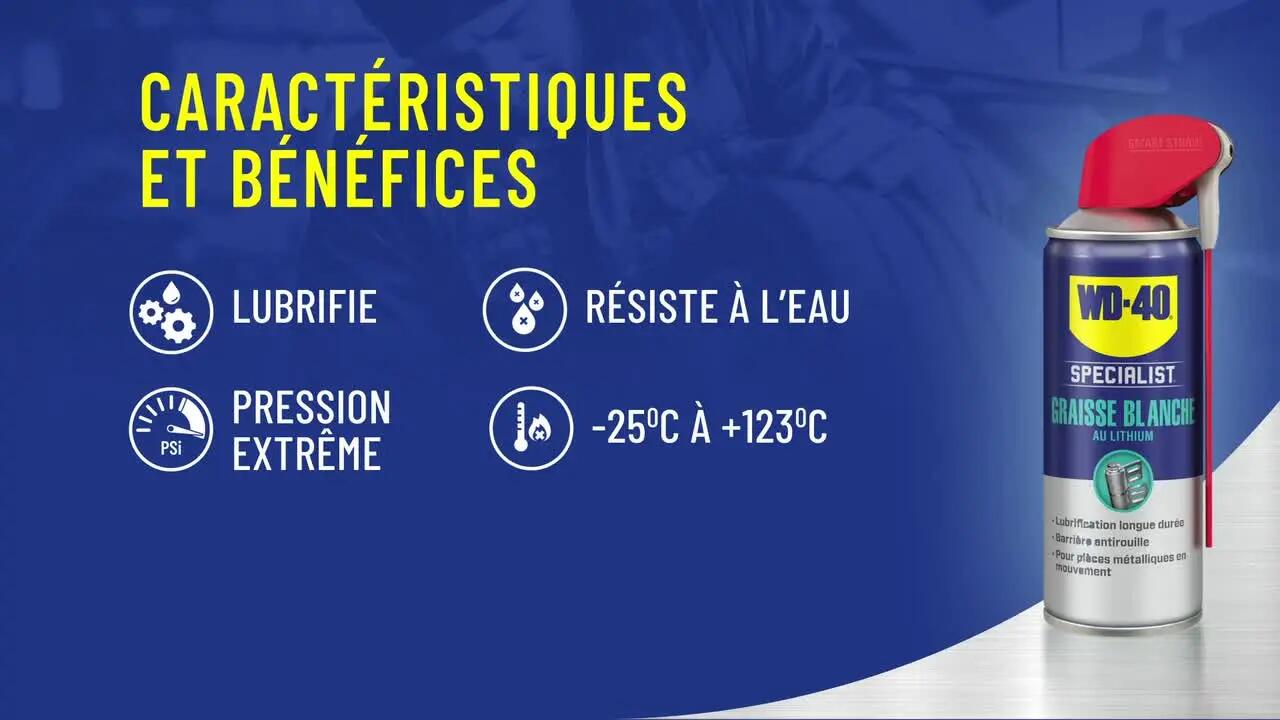 Graisse blanche, WD-40 en aérosol 250 ml - 7