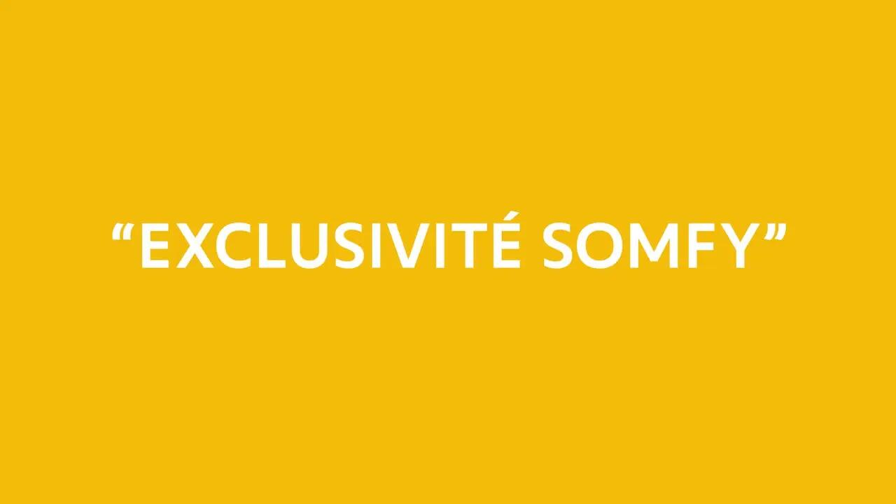 Visiophone filaire SOMFY 2 fils V100+ 1870535 - 7
