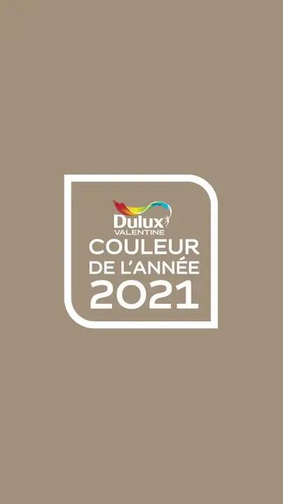 Peinture mur Crème de couleur DULUX VALENTINE Terre d'Argile satiné 0.5 l - 6