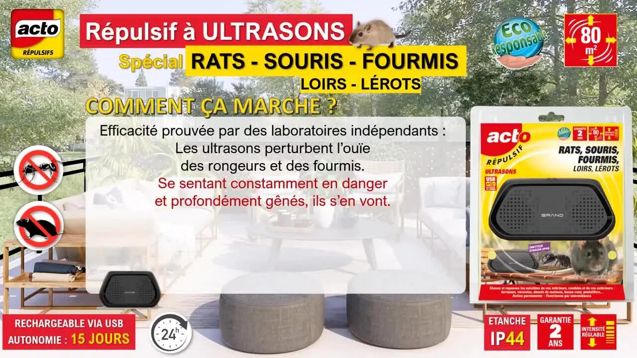 RÉPULSIF ULTRASONS RATS - SOURIS - FOURMIS - INTERIEUR EXTERIEUR - PROTEGE 80m² - 6