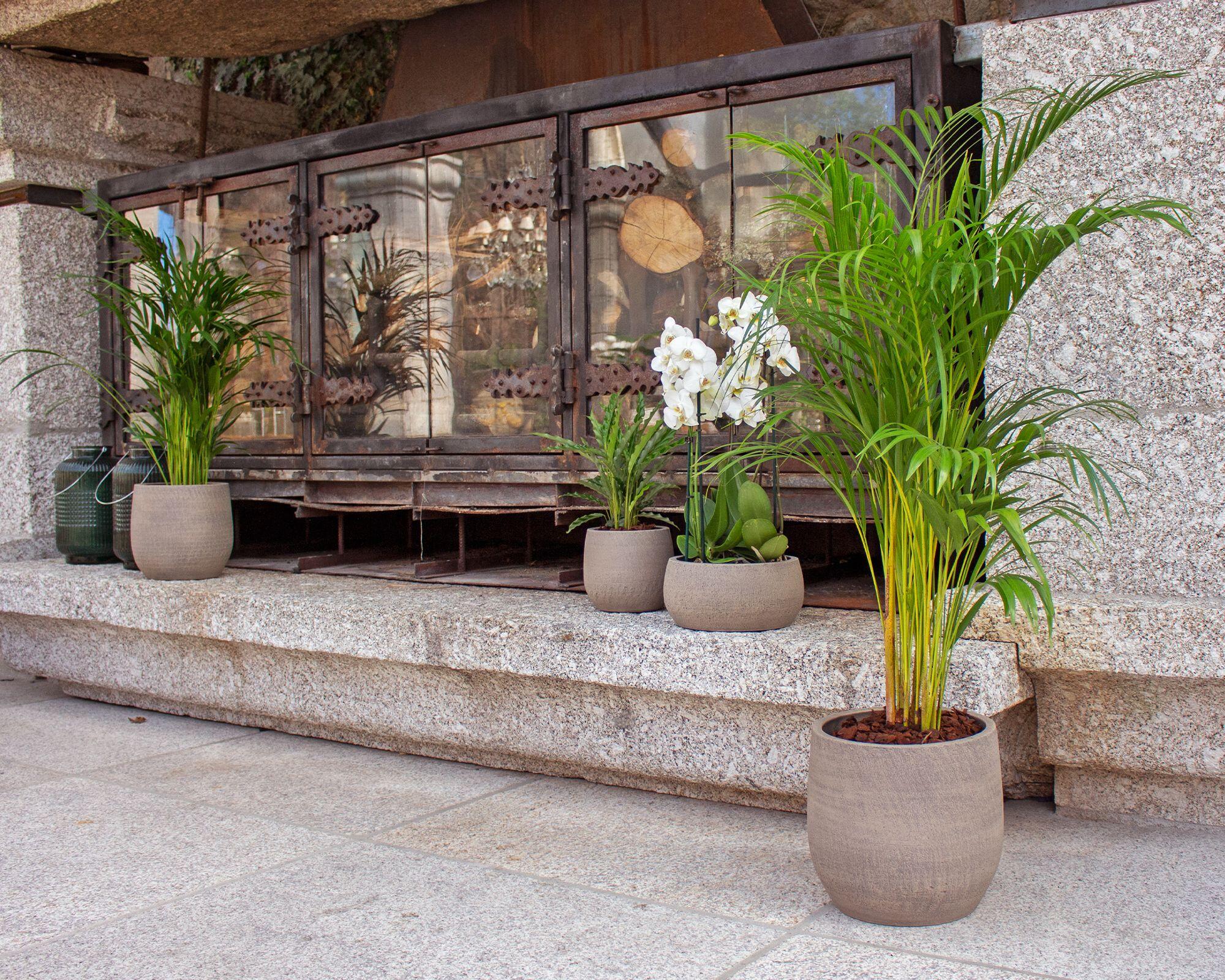 Vaso de cerâmica Hemera 25 cm Tortora Handmade - 4